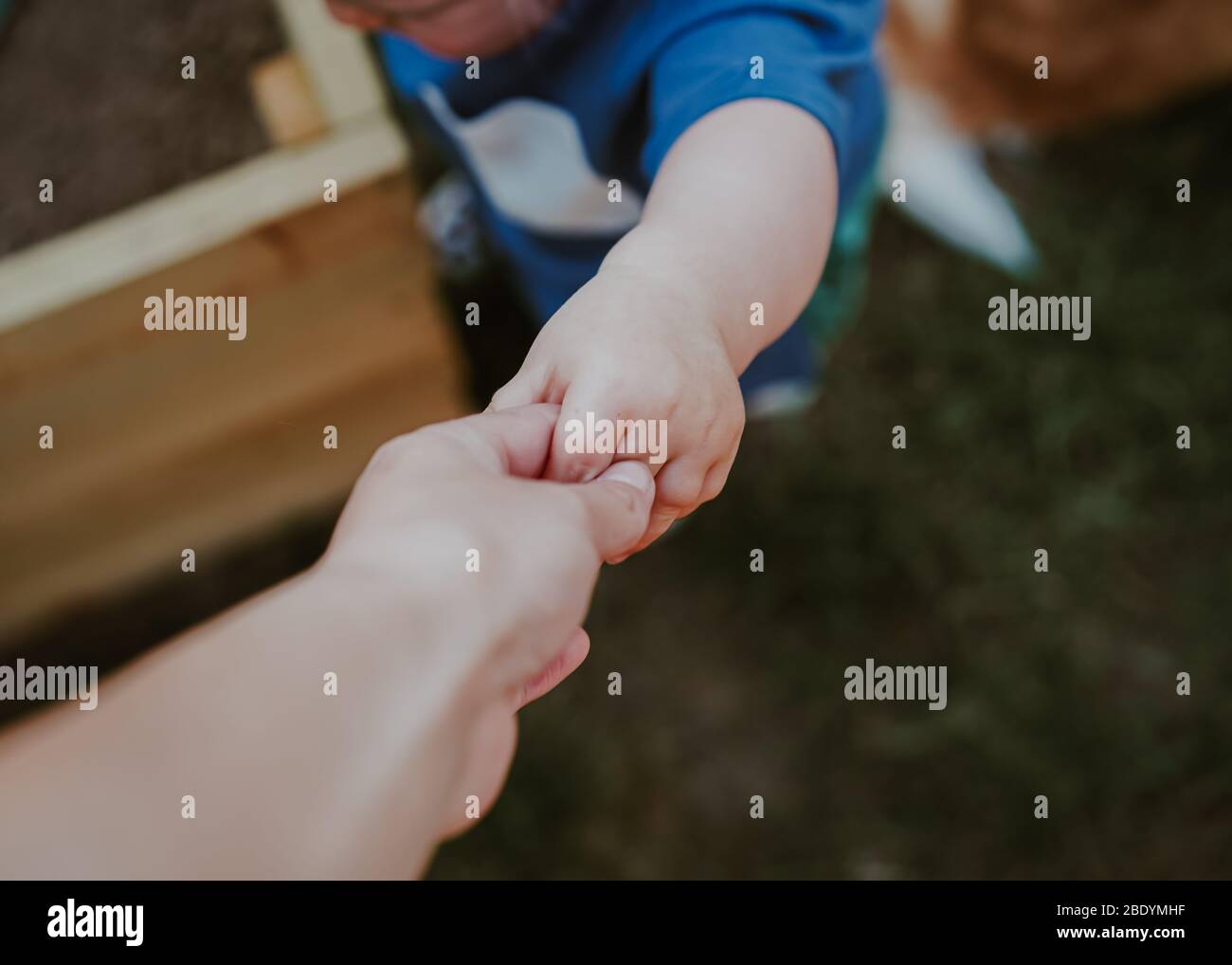 POV (punto de vista) pequeño niño sosteniendo la mano de mamá Foto de stock