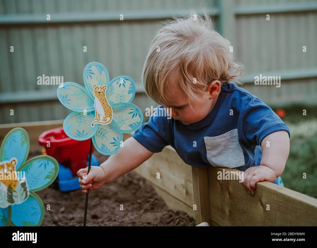 Pequeño niño niño pequeño jardín Foto de stock