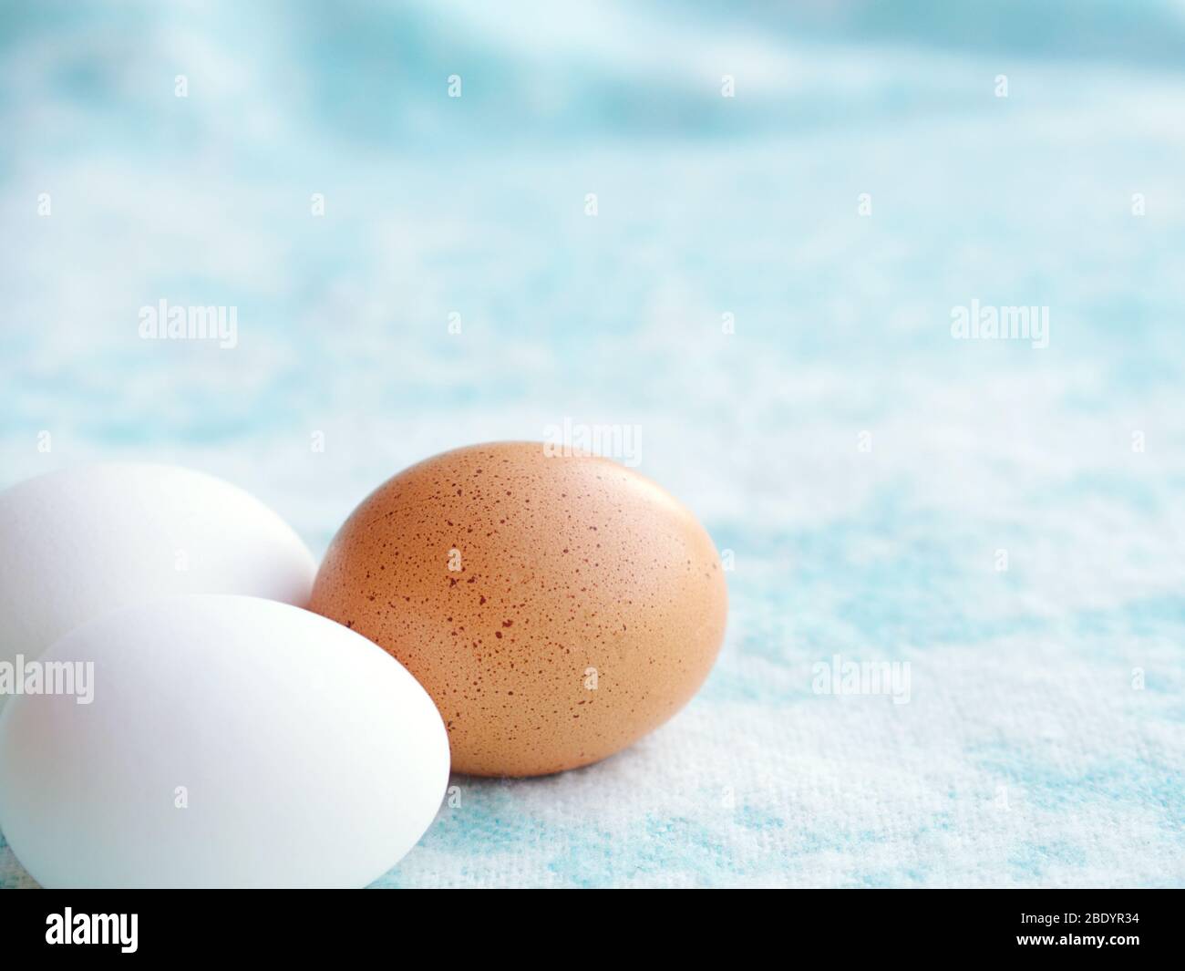 Huevos de Pascua blancos y marrones sin color sobre un fondo azul claro con espacio en blanco. Foto de stock