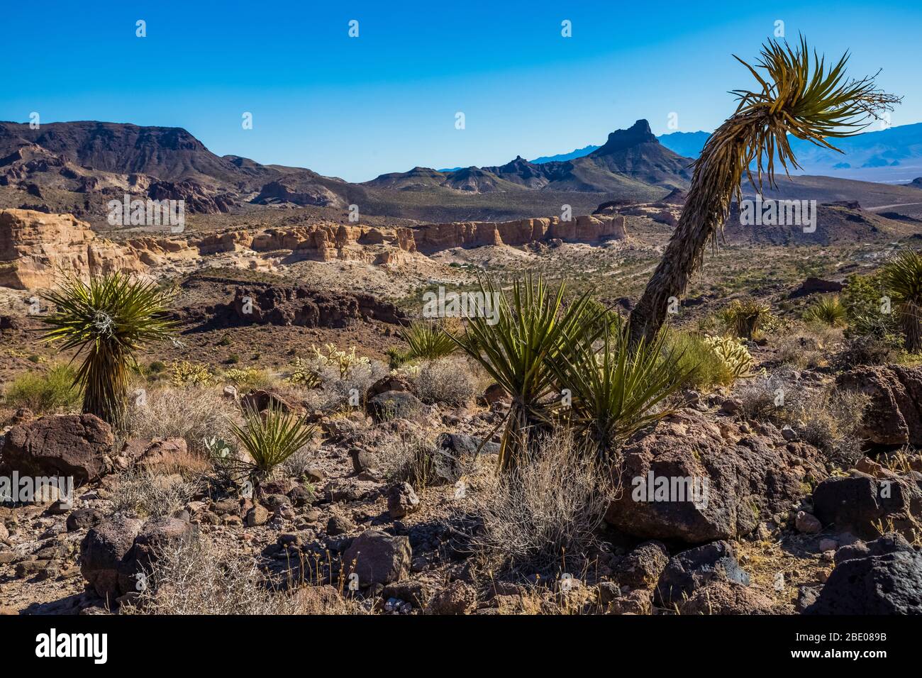 Paisaje desértico con yuca bajo el Paso Sitgreaves a lo largo de la histórica Ruta 66 en Arizona Paisaje desértico con yuca bajo el Paso Sitgreaves a lo largo de la histórica Ruta 66 en Arizona