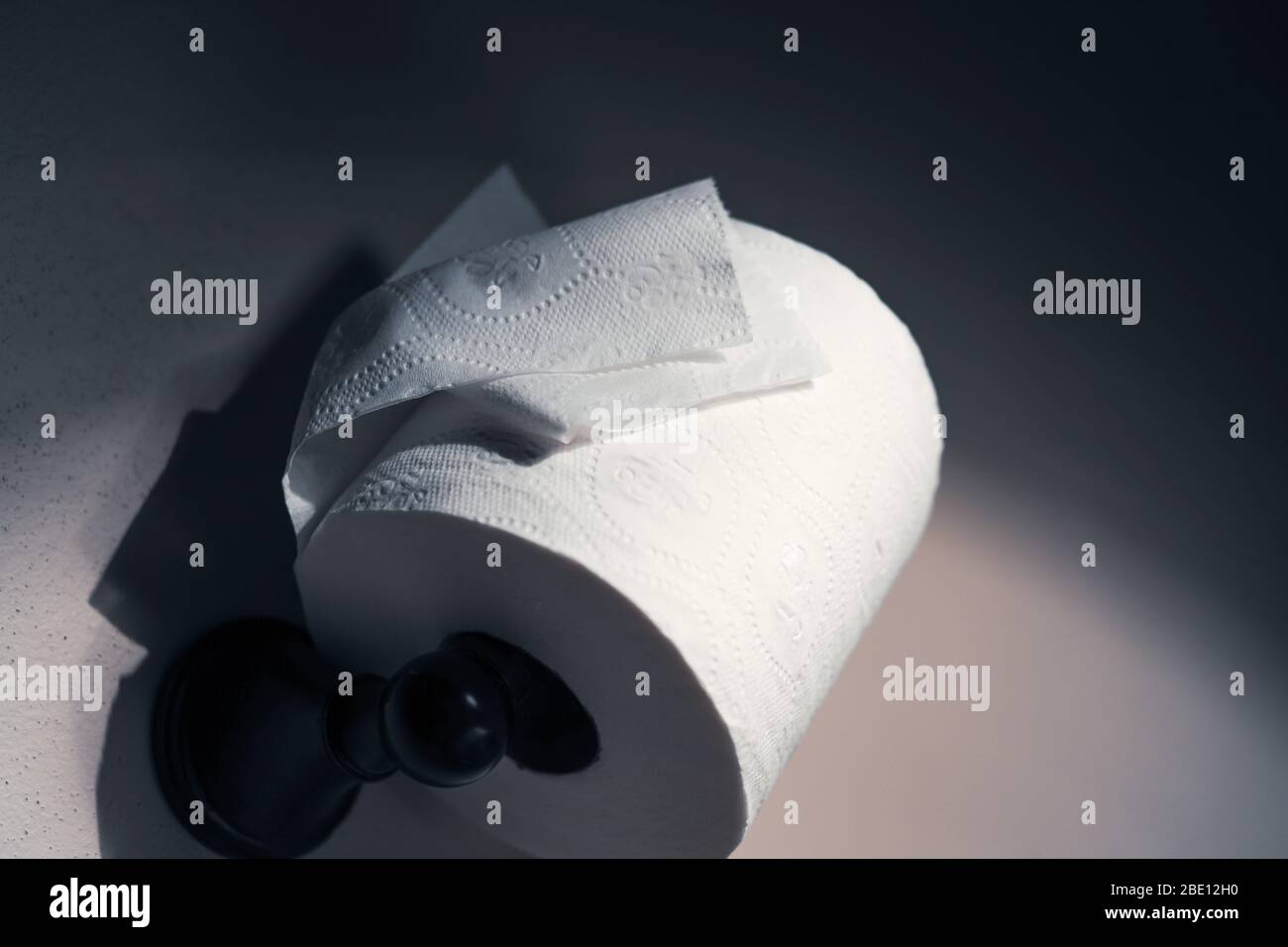 Suministro de papel higiénico fotografías e imágenes de alta resolución -  Alamy