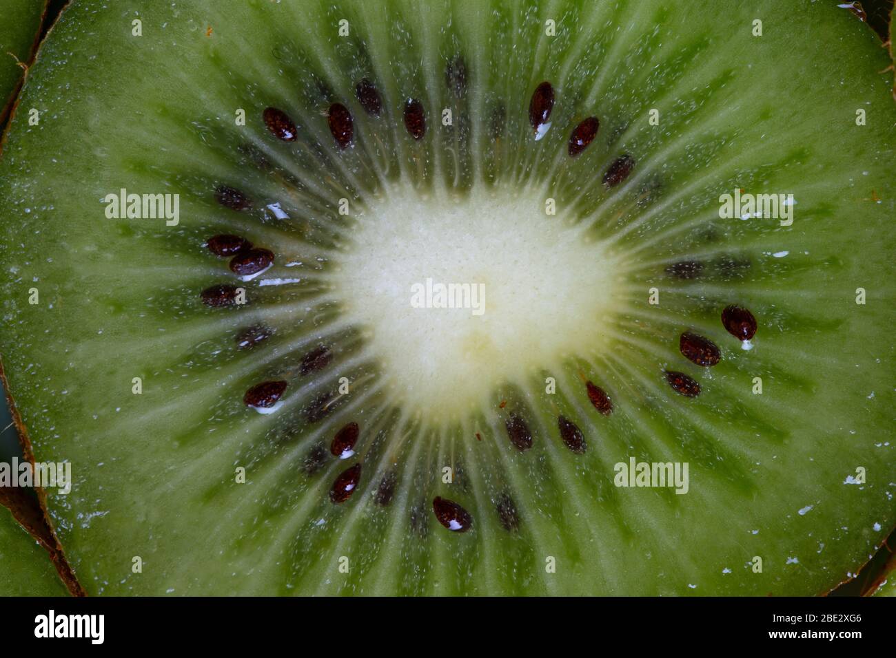 un fantástico estudio de fotografía de primer plano con detalles de vida natural de una deliciosa fruta kiwi en rodajas, topview Foto de stock