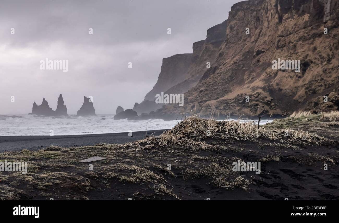 Reynisfjara playa de arena negra en VIK, Islandia Foto de stock