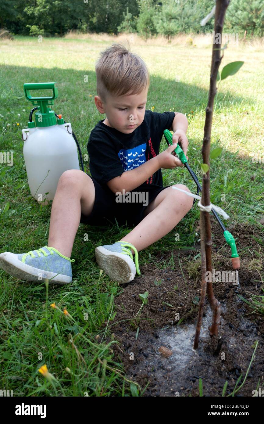 Joven ayudante de niño riego un árbol de manzana recién plantado. Zawady Gmina Rzeczyca Polonia Foto de stock