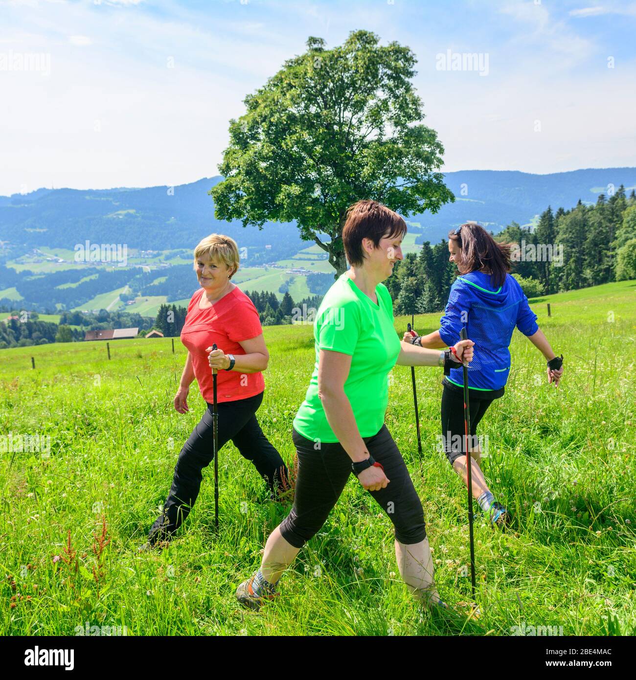 Entrenamiento físico en naturaleza verde con ejercicios de marcha nórdica Foto de stock