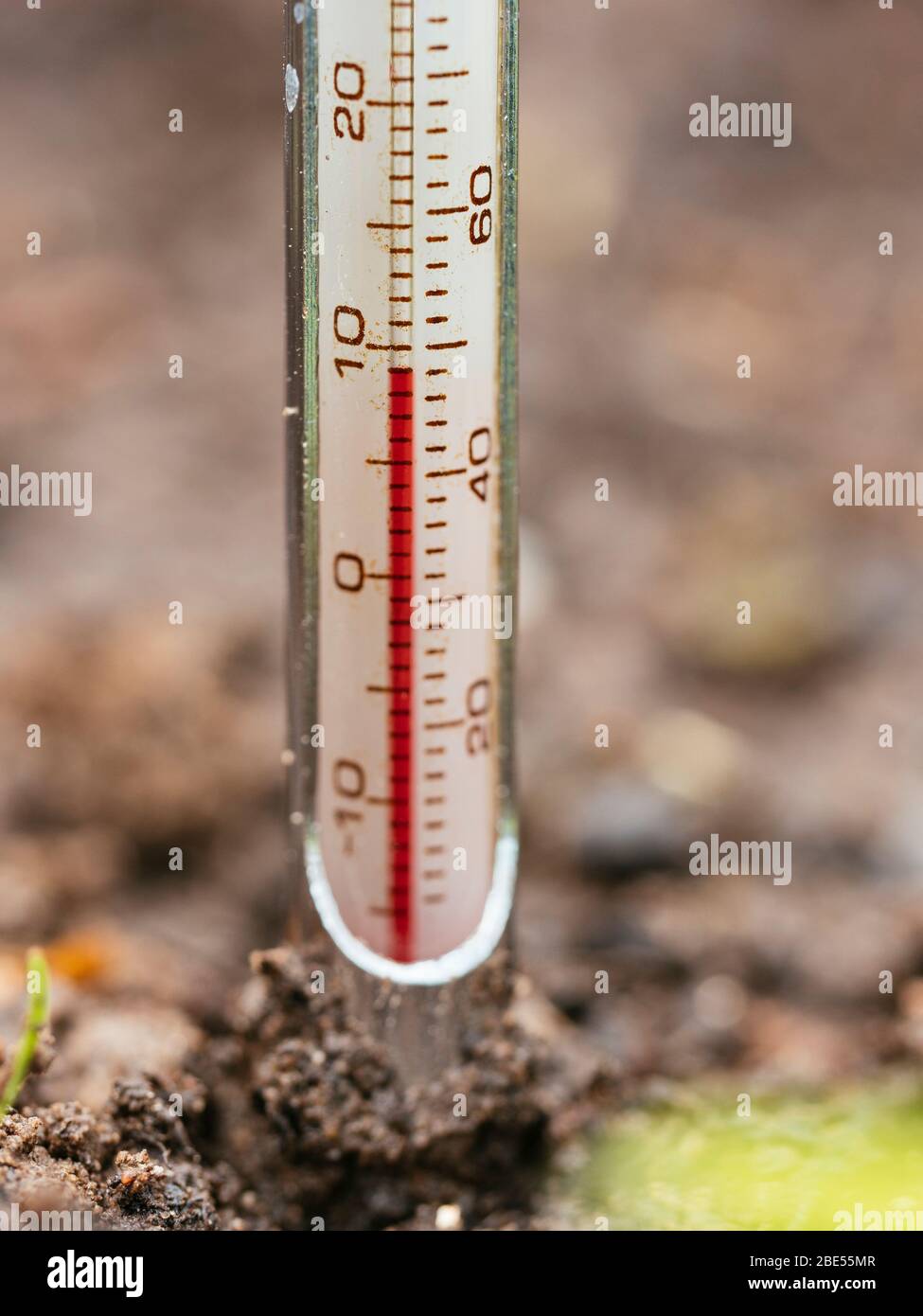 Termómetro de suelo que mide la temperatura en primavera Foto de stock