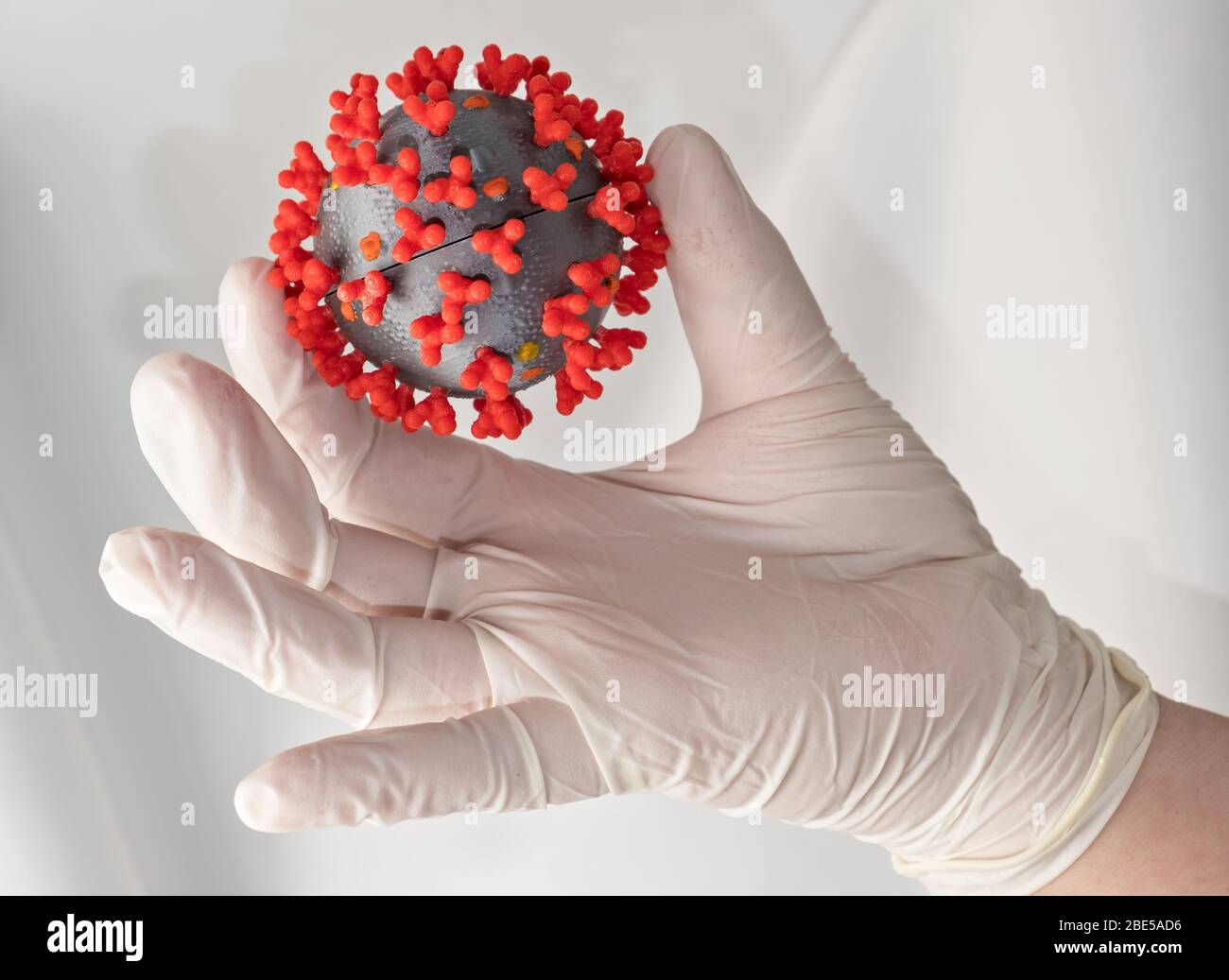 Coronavirus en mano enguantada. Concepto: Manipular el coronovirus con cuidado Foto de stock