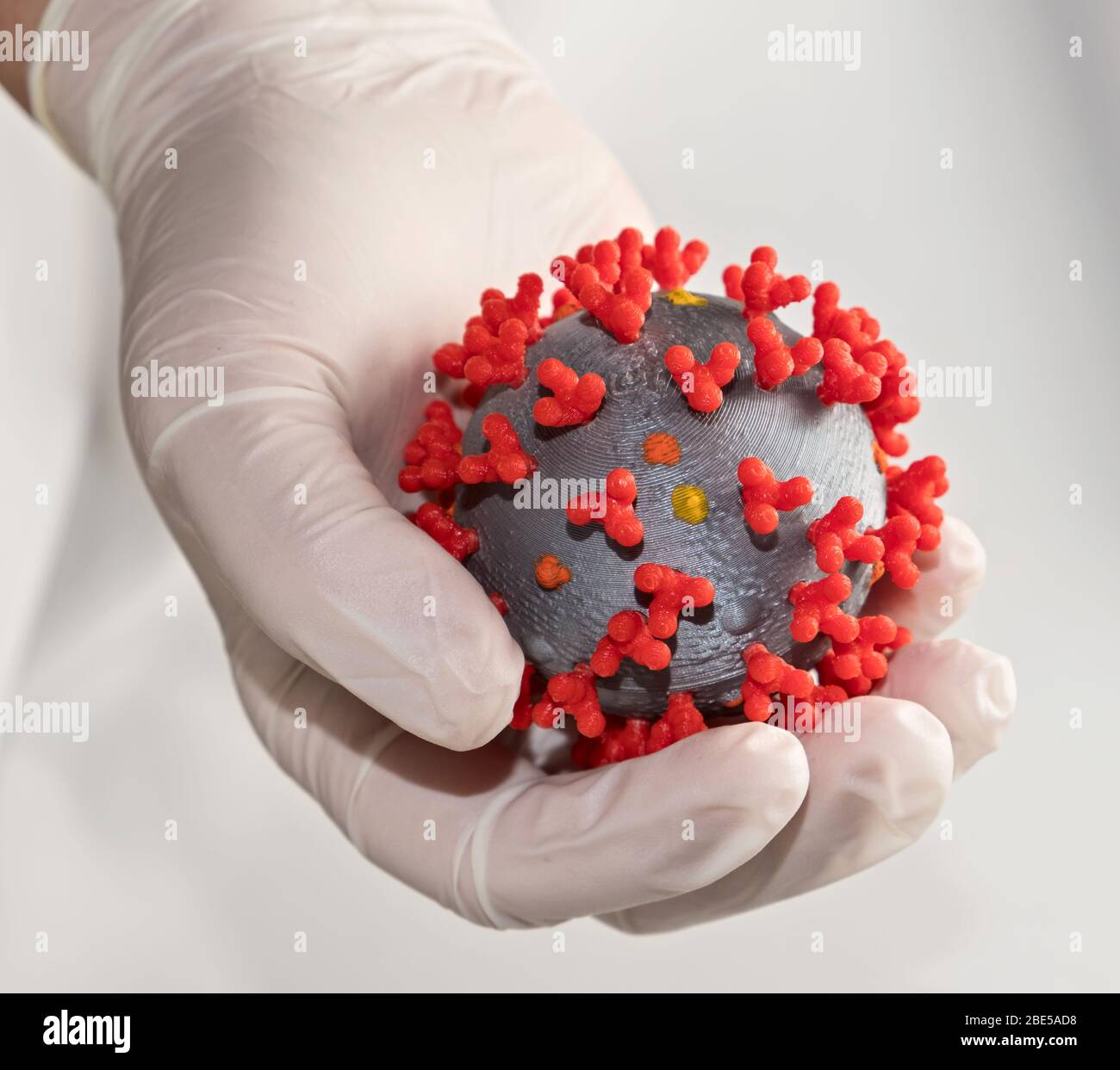 Coronavirus en mano enguantada. Concepto: Manipular el coronovirus con cuidado Foto de stock