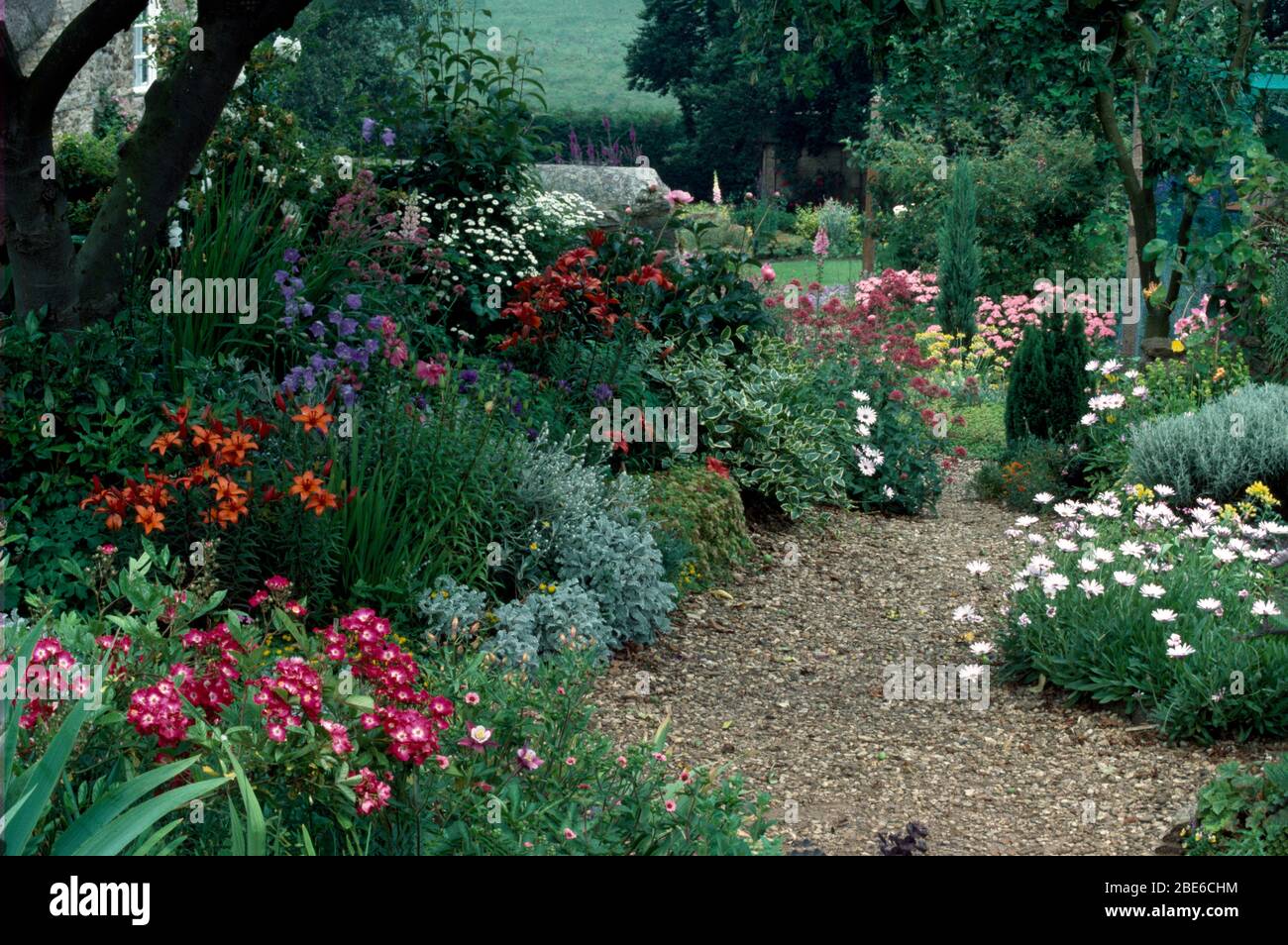 Plantas y jardines Foto de stock