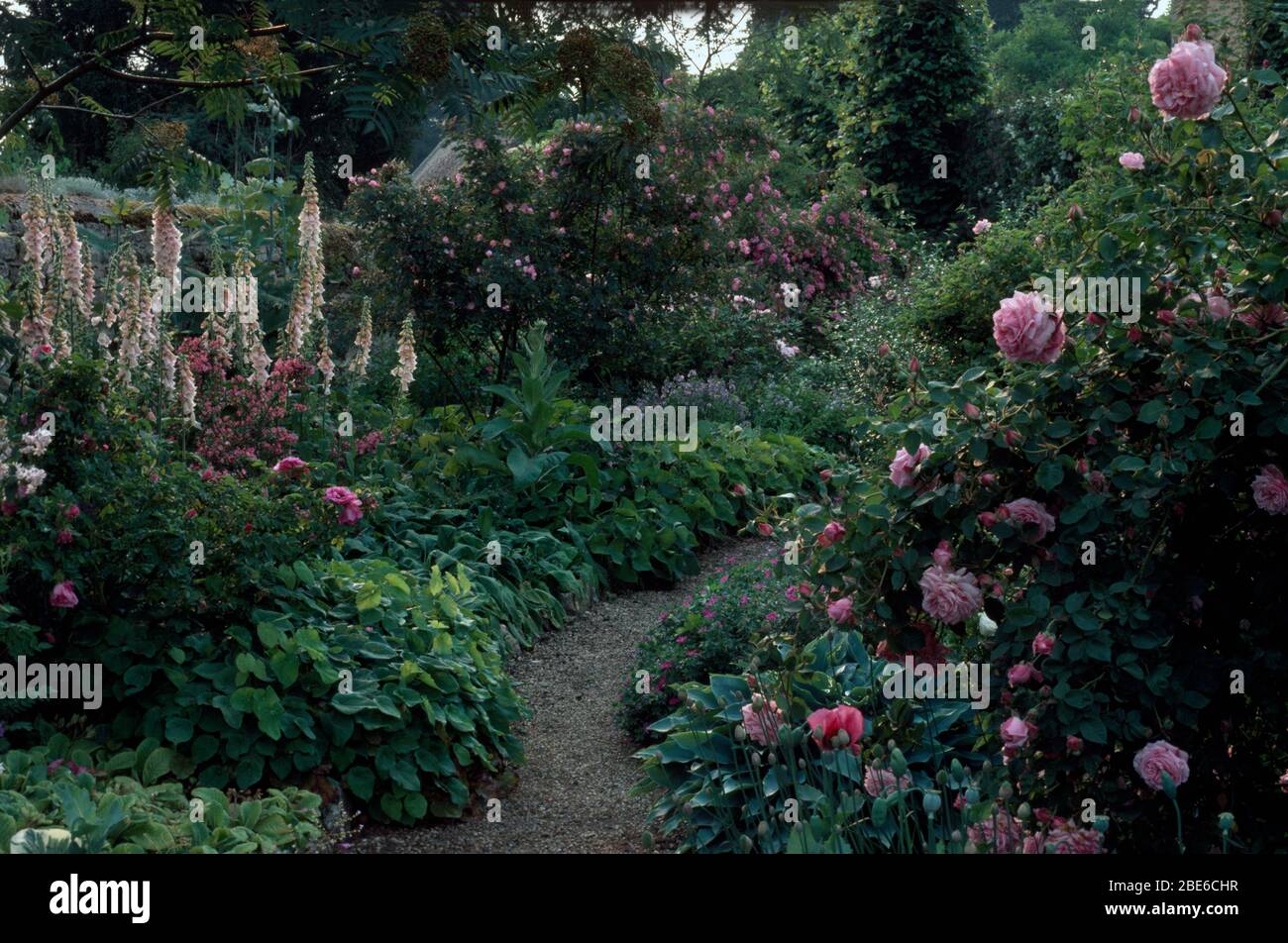 Plantas y jardines Foto de stock