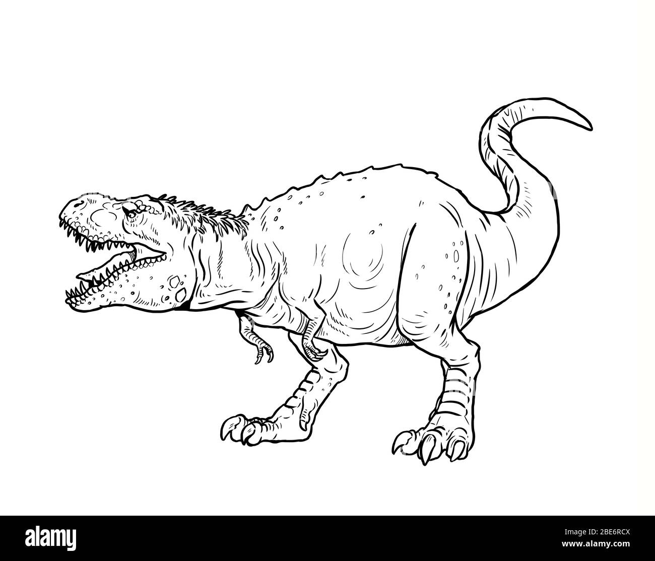 Dibujo de tiranosaurio rex Imágenes recortadas de stock - Alamy