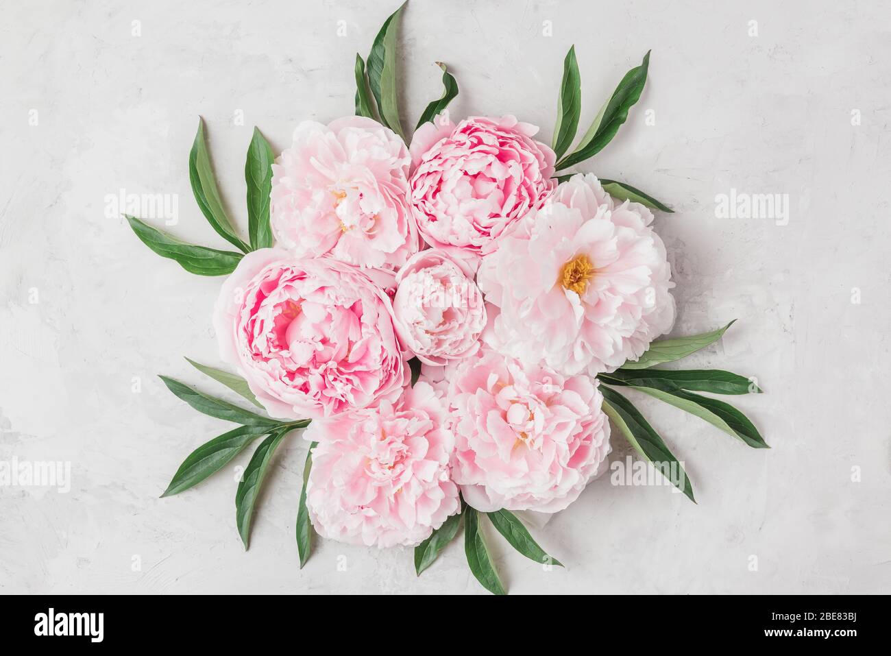Composición de las flores. Corona hecha de flores de peony rosa sobre fondo blanco. Vista superior plana con espacio de copia Foto de stock