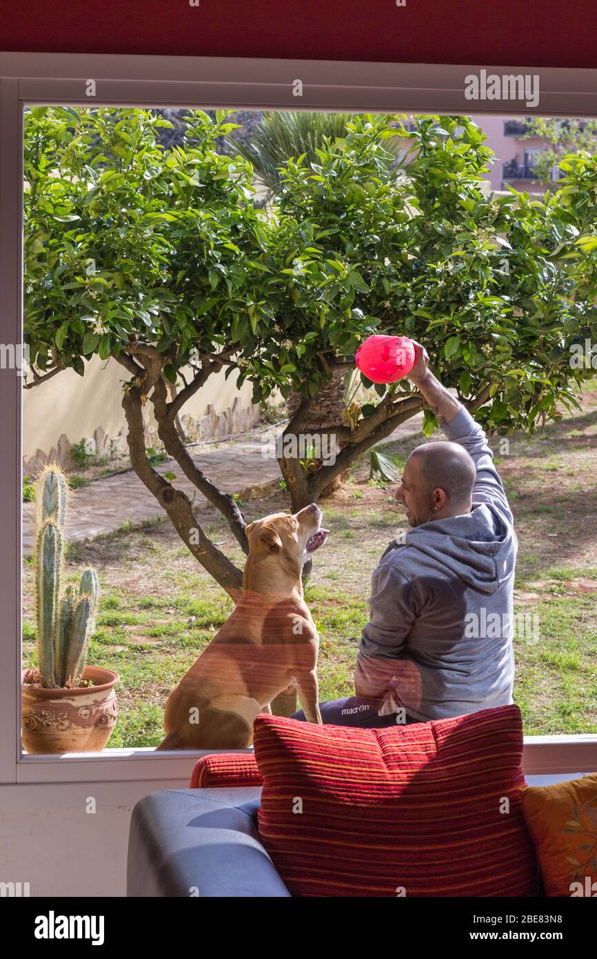 Hombre jugando con su perro en el jardín de la casa Foto de stock