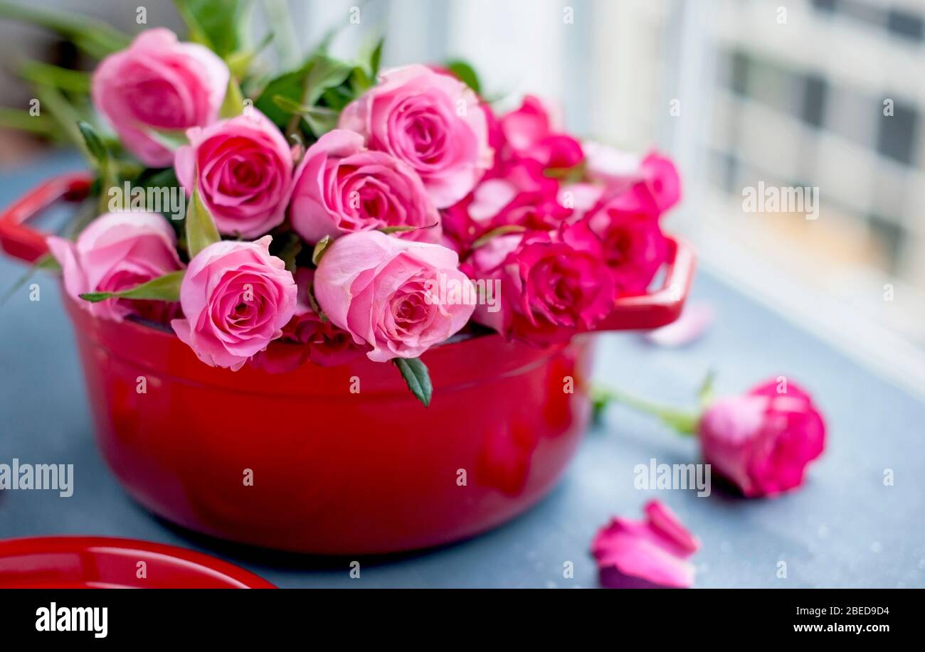 Ramo de rosas para mamá, concepto de regalo para mujeres y día de la madre.  Flores sorpresa creativa en una sartén roja. Espacio libre para texto,  postal. Espacio de copia Fotografía de