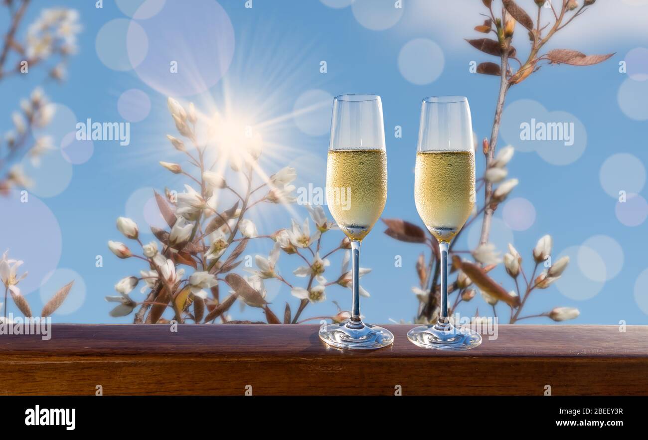 Dos copas de vino espumoso con flores blancas de fondo. Tema de bodas y celebraciones. Foto de stock