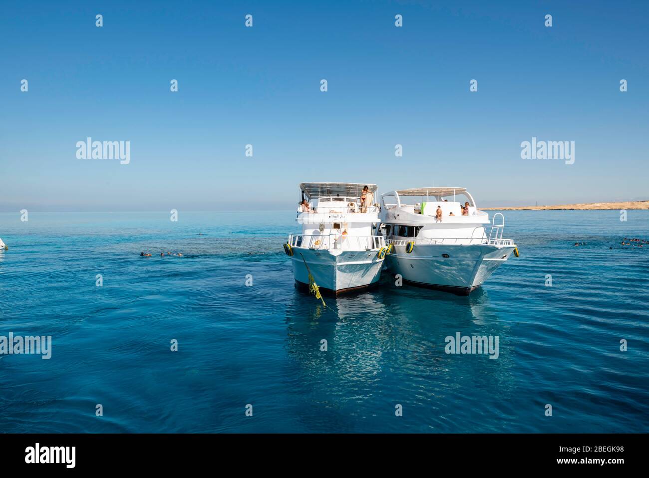 Paseos en bote y buceo de superficie en el Mar Rojo, frente a la costa de Sharm el-Sheikh, Egipto. Foto de stock