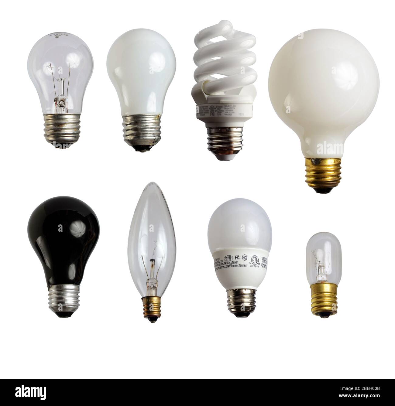 Variedad de bombillas Foto de stock