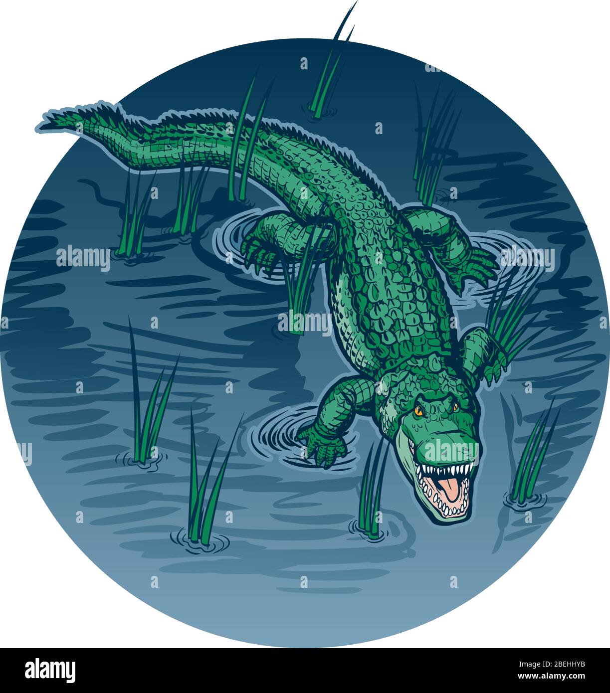 Dibujo de dibujos animados vectoriales ilustración de un cocodrilo con boca  abierta nadando o flotando en agua pantanosa con hierba sobre un fondo  circular Imagen Vector de stock - Alamy