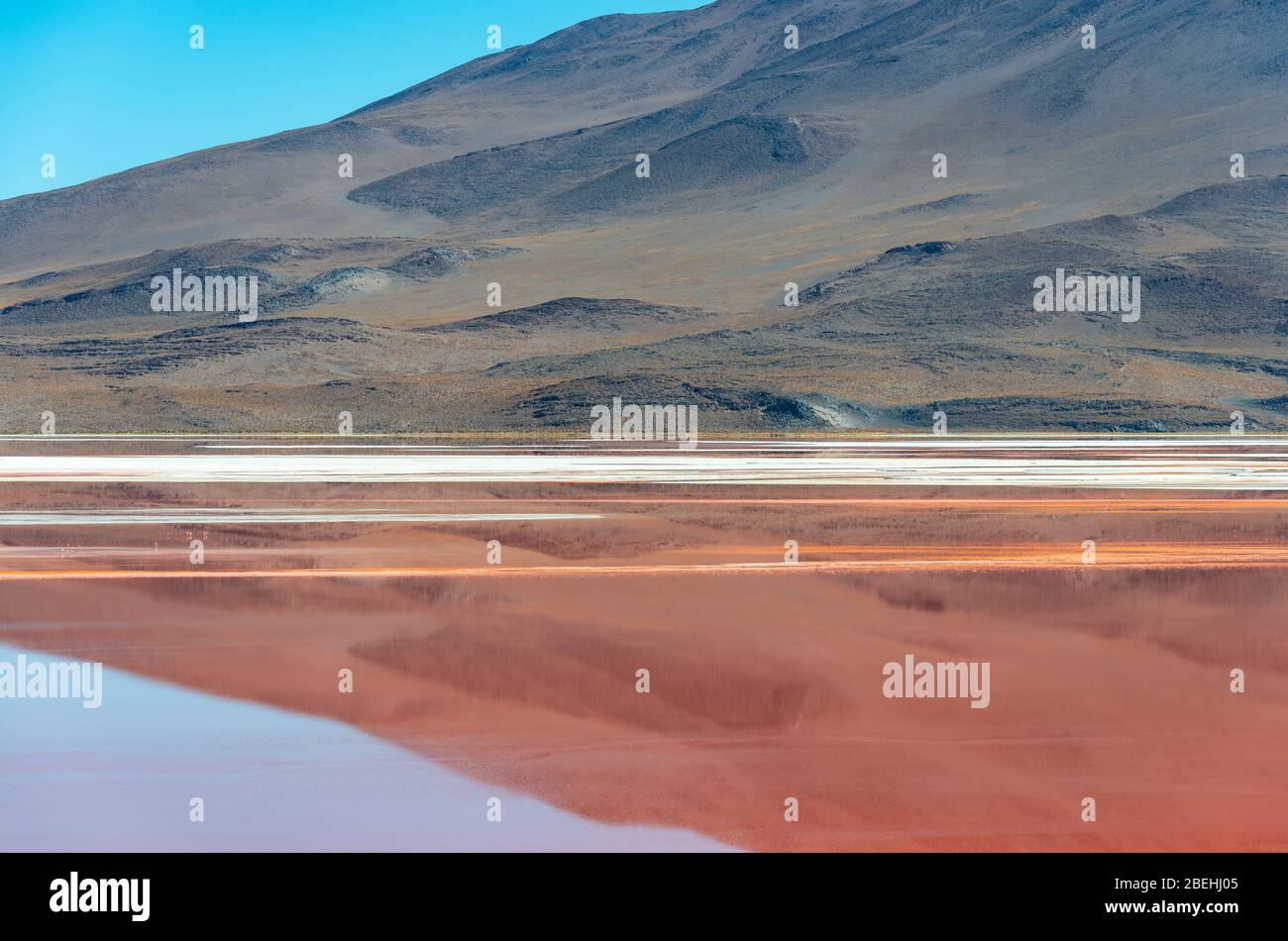 Reflejo de un pico andino en las aguas rojas de la Laguna Colorada, Región Salar de Uyuni, Bolivia. Foto de stock