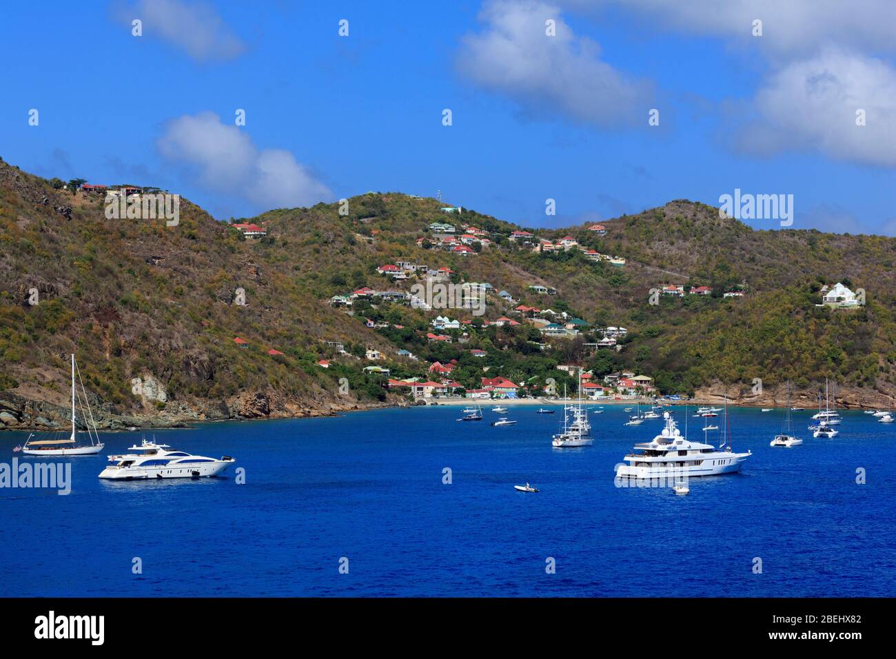 Puerto Gustavia, Saint Barts, Caribe Foto de stock