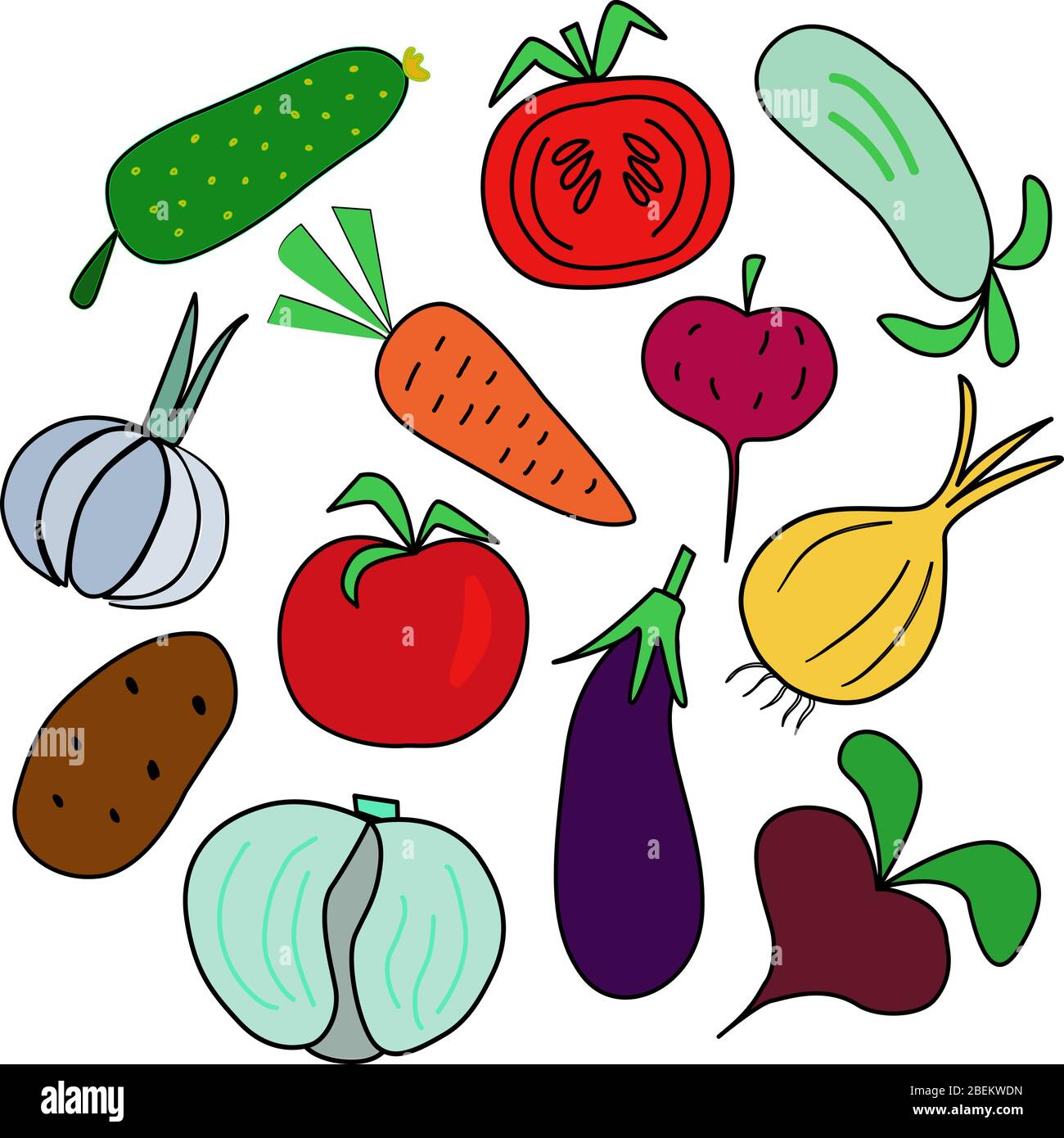 Conjunto de verduras en gráficos vectoriales, en estilo de dibujos  animados. Para el diseño de papel para envolver, toallas de cocina, platos,  ilustraciones botánicas para niños Imagen Vector de stock - Alamy