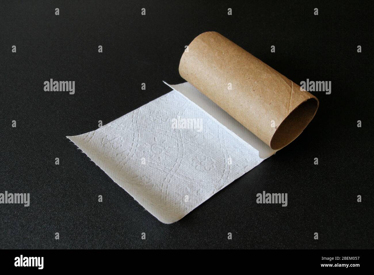 Un pedazo final de papel higiénico en un rollo de cartón sobre un fondo negro en un estilo artístico fino. Foto de stock