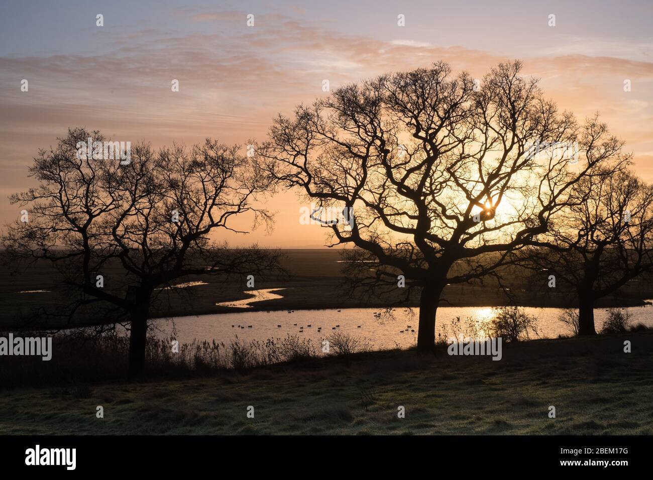 Amanecer sobre las marismas de la Reserva Natural de Elmley, Isla de Sheppey, Kent Foto de stock