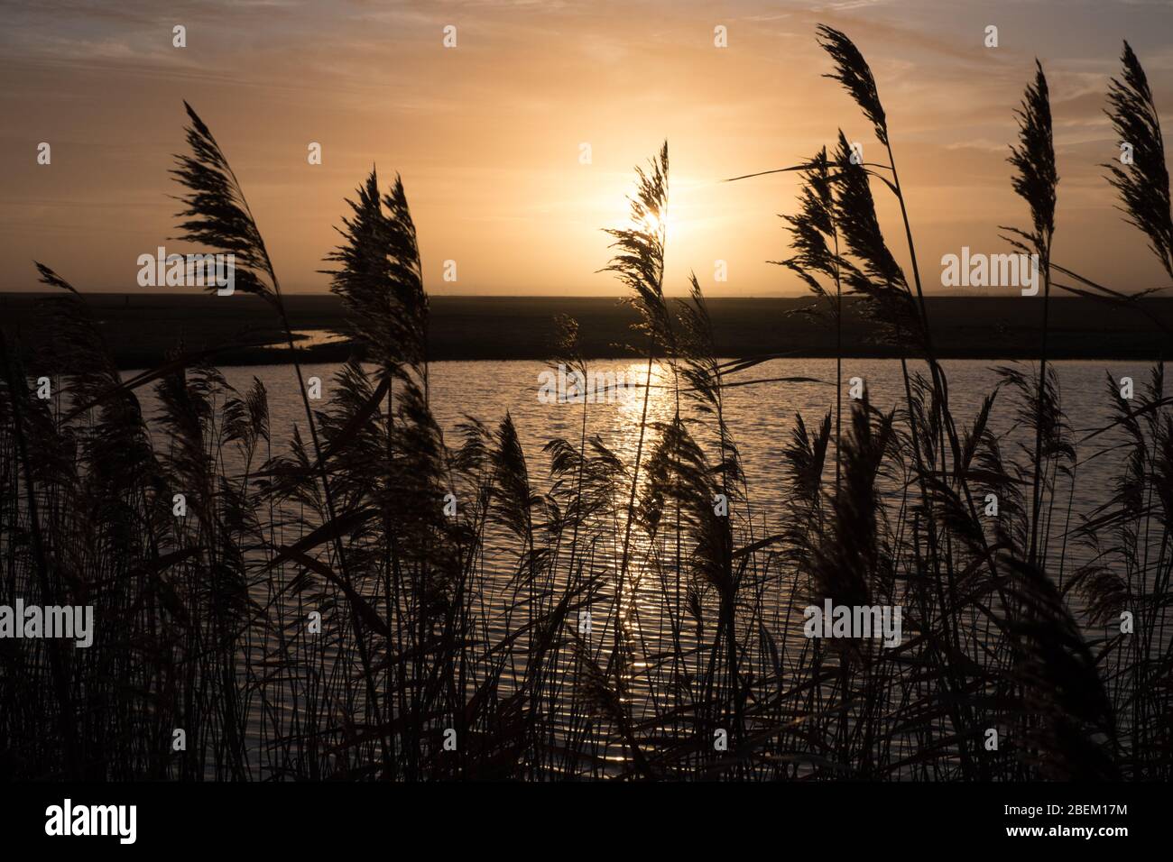 Amanecer sobre las marismas de la Reserva Natural de Elmley, Isla de Sheppey, Kent Foto de stock