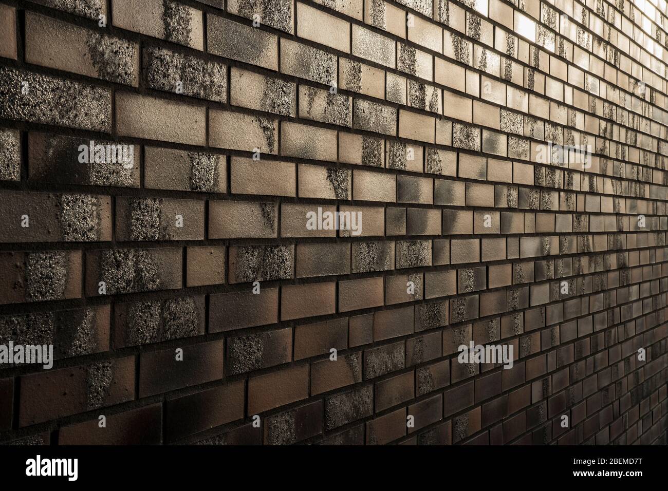 Pared de ladrillo en la luz de la noche. Foto de stock