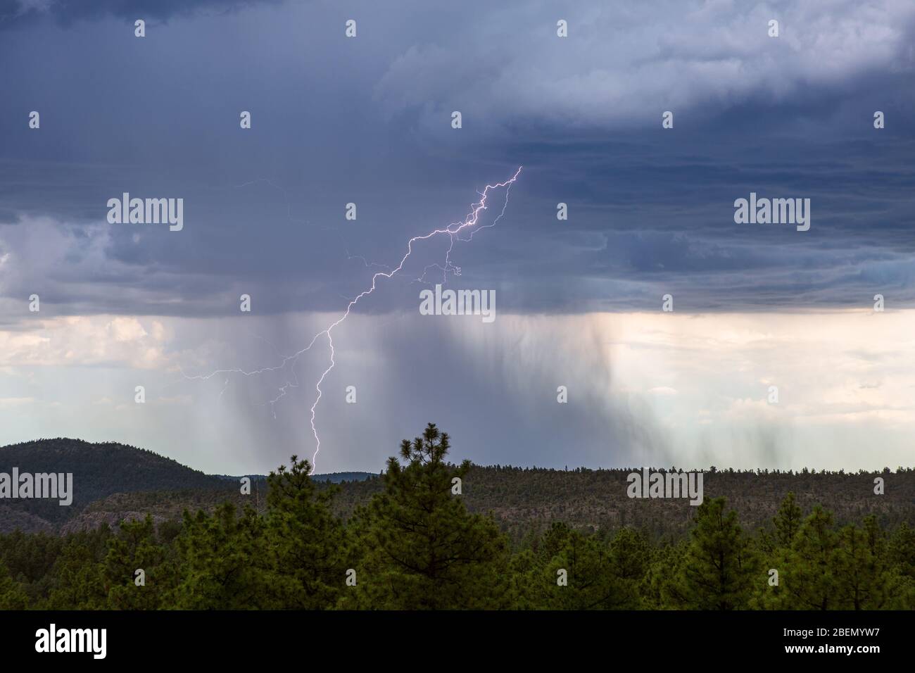 Tormenta con rayos y lluvia cayendo de nubes oscuras sobre el borde de Mogollon cerca de Pine, Arizona Foto de stock