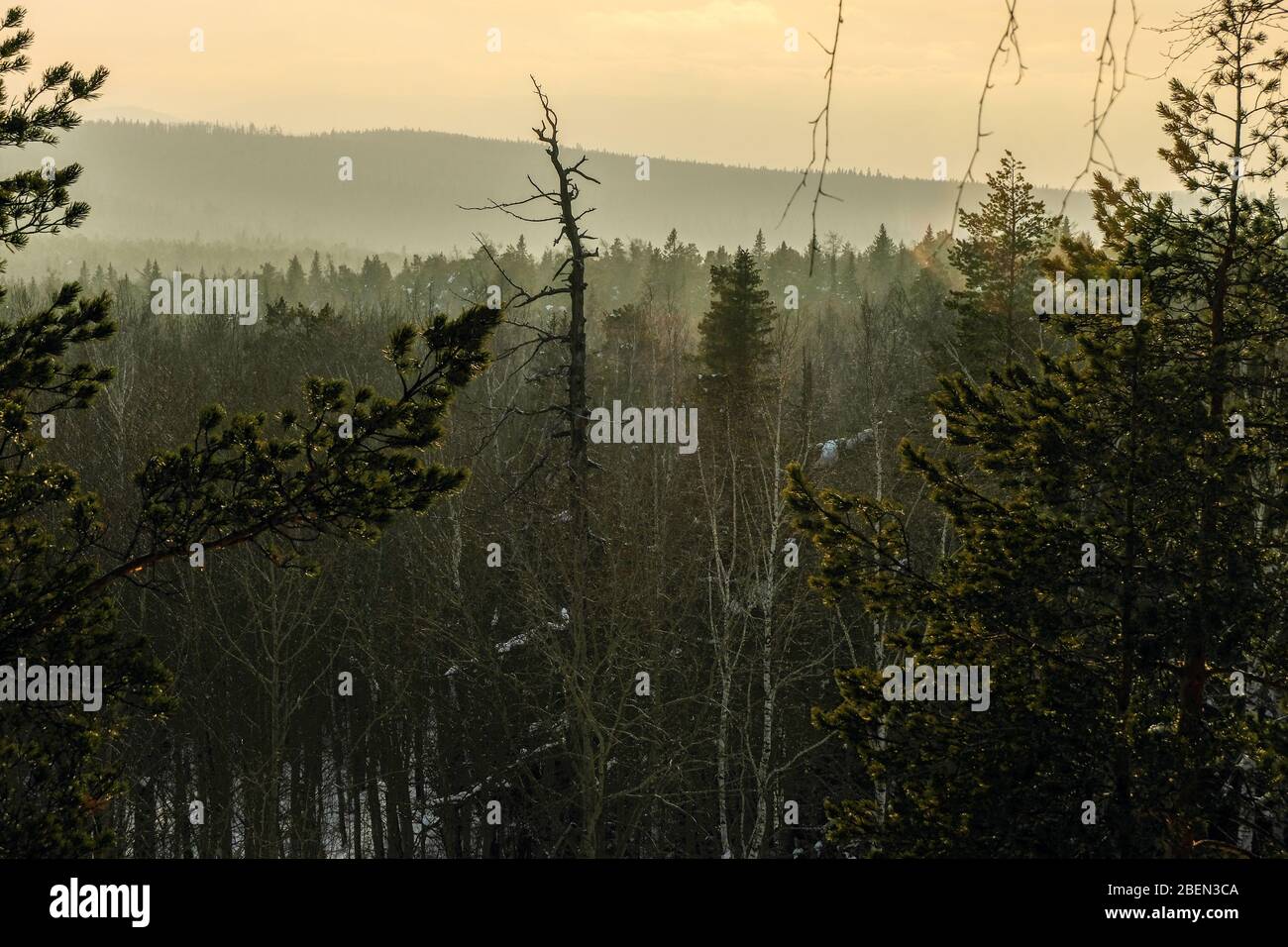 Paisaje Ural invernal. Horizontes forestales Foto de stock