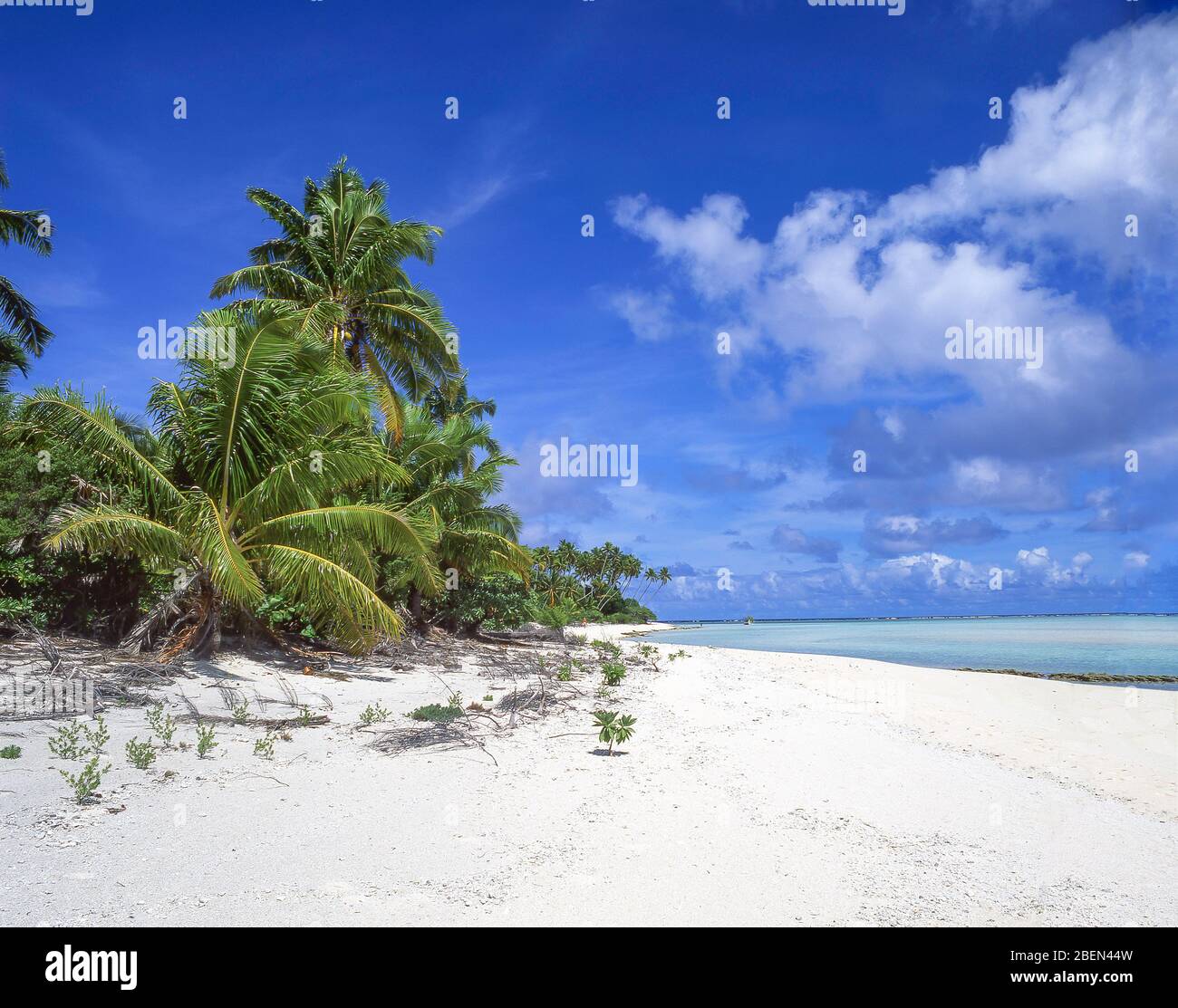 Playa Tropical, el atolón Aitutaki, Islas Cook Foto de stock