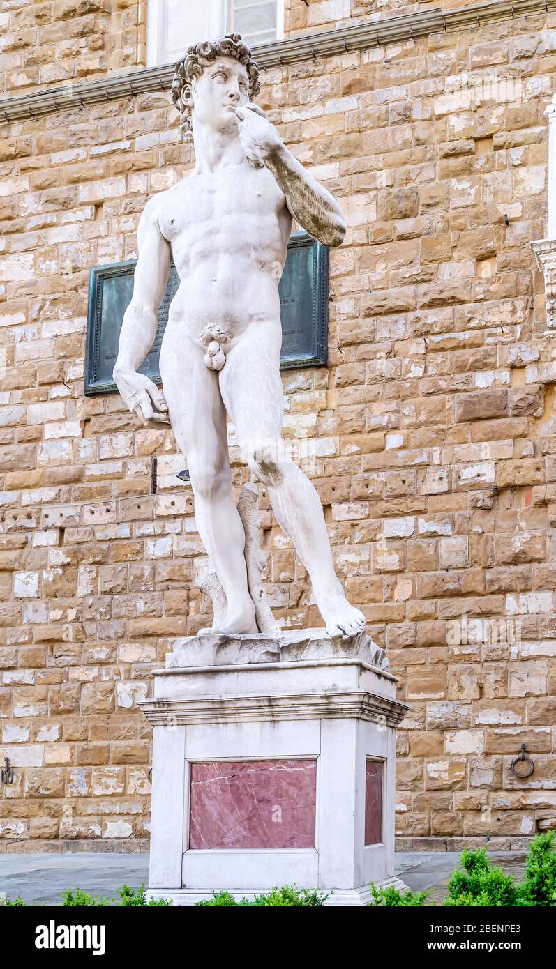 La réplica del David de Miguel Ángel en la Piazza della Signoria, centro  histórico de Florencia, Italia Fotografía de stock - Alamy