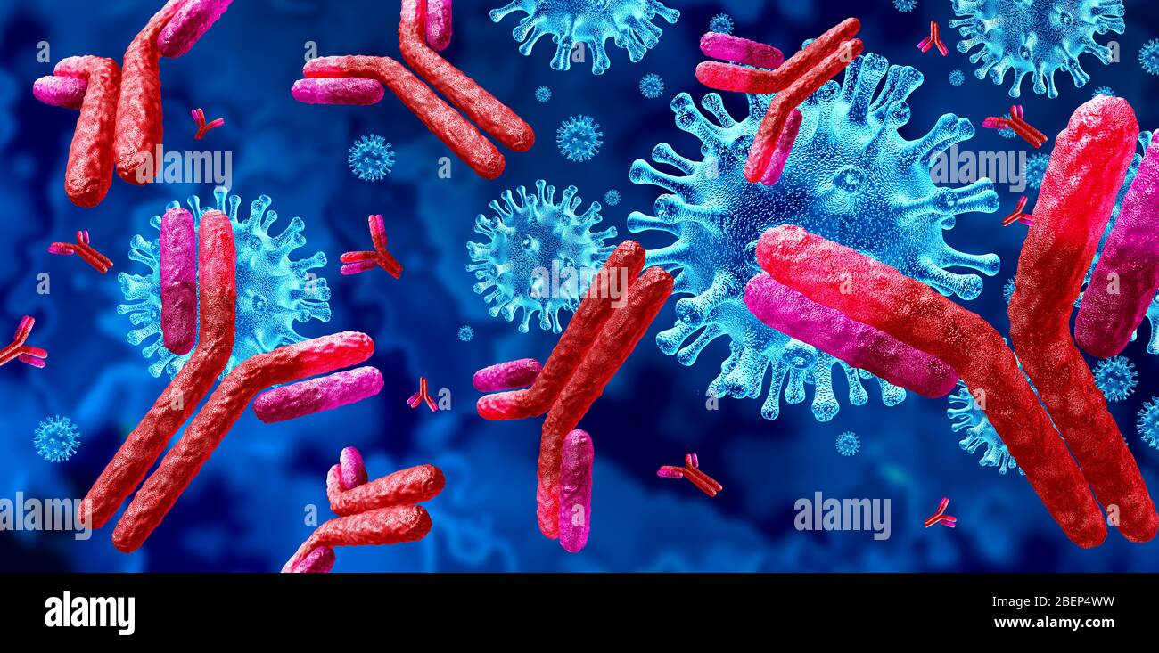 El concepto de anticuerpos e inmunoglobulina como anticuerpos que atacan a las células y patógenos virales contagiosos como ilustración 3D. Foto de stock