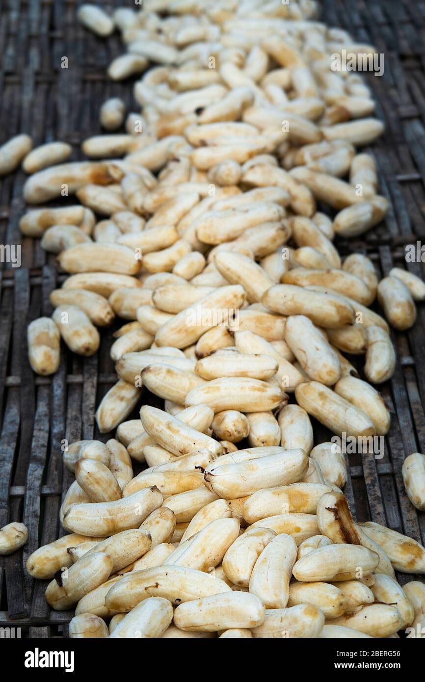 Muchos pequeños dedos de plátano pelados no comerciales se sienten secos al sol, Bagan, Myanmar. Foto de stock