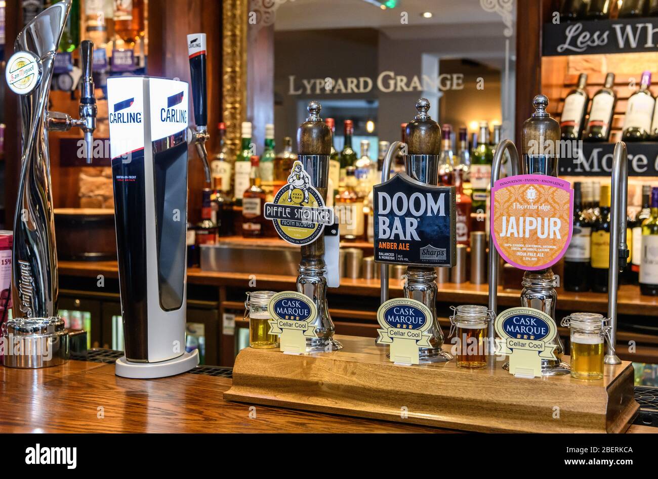 Real ale y cerveza lager tira / tap manijas en un bar de roble pulido en un pub tradicional en Worcester, Inglaterra, Reino Unido. Foto de stock