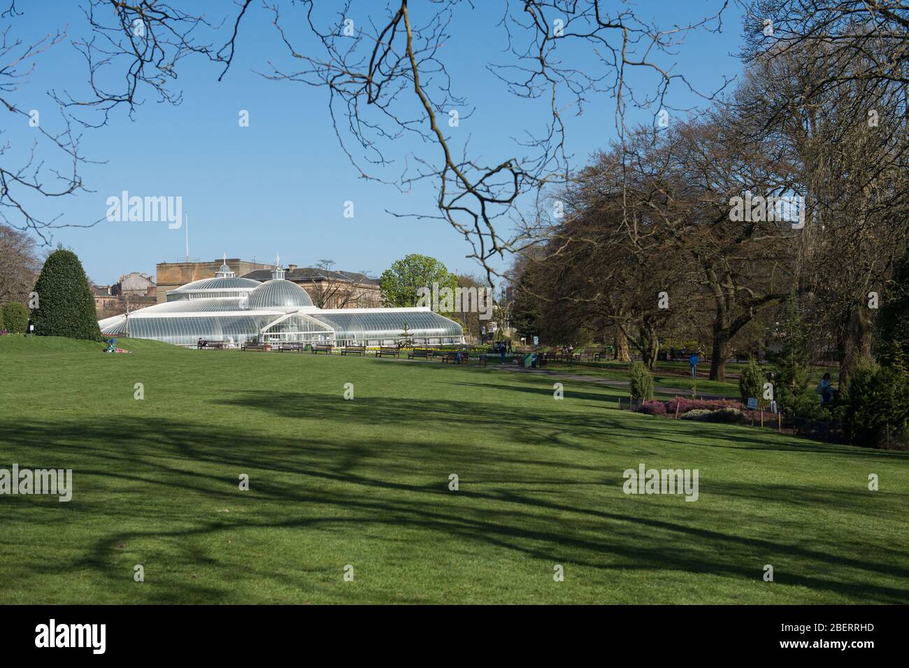 Trossachs, Reino Unido. 15 de abril de 2019. Foto: Vista angular de los Jardines Botánicos. Escenas en los Jardines Botánicos de Glasgow durante el cierre del Coronavirus. Crédito: Colin Fisher/Alamy Live News Foto de stock