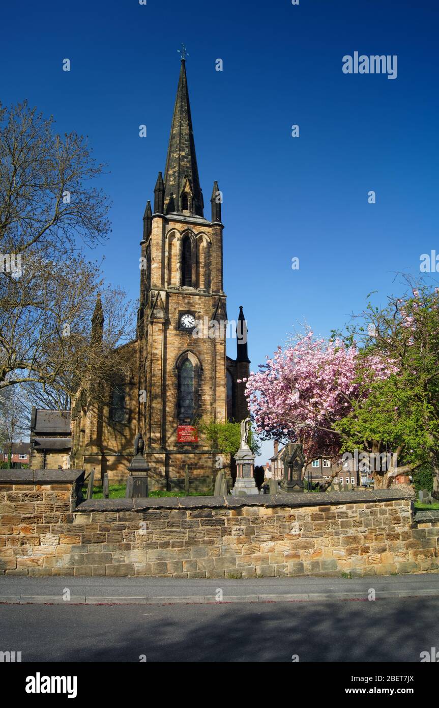 Reino Unido, South Yorkshire, Elsear, Iglesia Parroquial de la Santísima Trinidad en primavera con flor de cereza Foto de stock