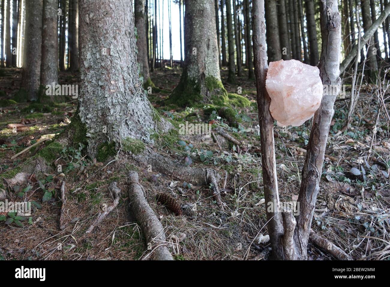 LECKSTEIN FÜR TIERE . LAMER PIEDRA PARA ANIMALES Foto de stock