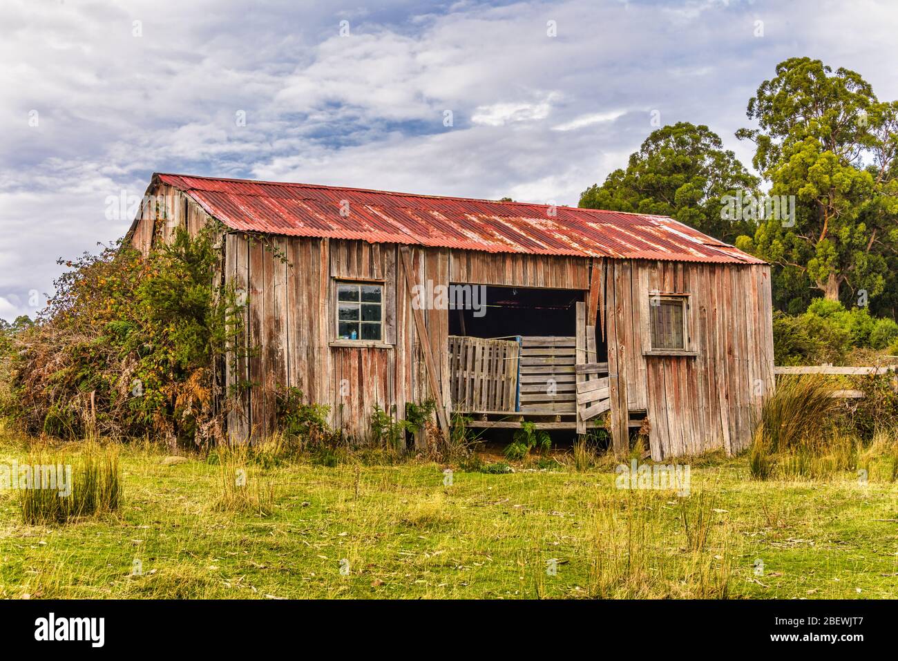 Un lunas abandonadas y de hierro corrugado, casa de granero pionero o vertida en una ladera a lo largo de la costa este de Tasmania en Australia. Foto de stock
