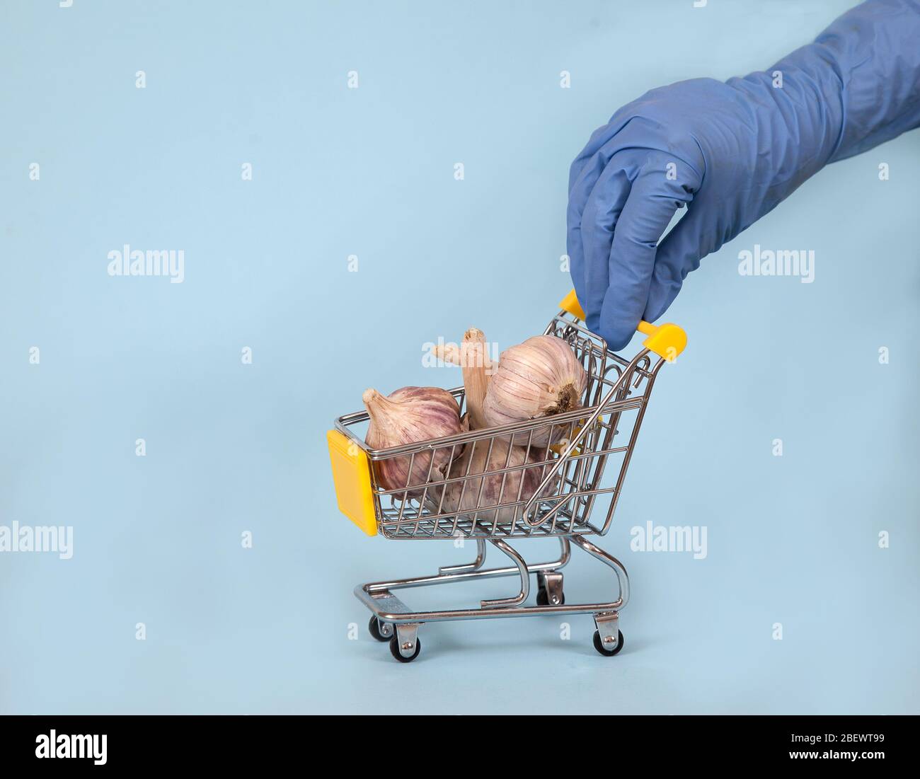 Mano femenina en un guante de goma azul enrolla un carro de supermercado con ajo sobre un fondo azul. Especias. Protección. Covid 19. Copiar spaes Foto de stock