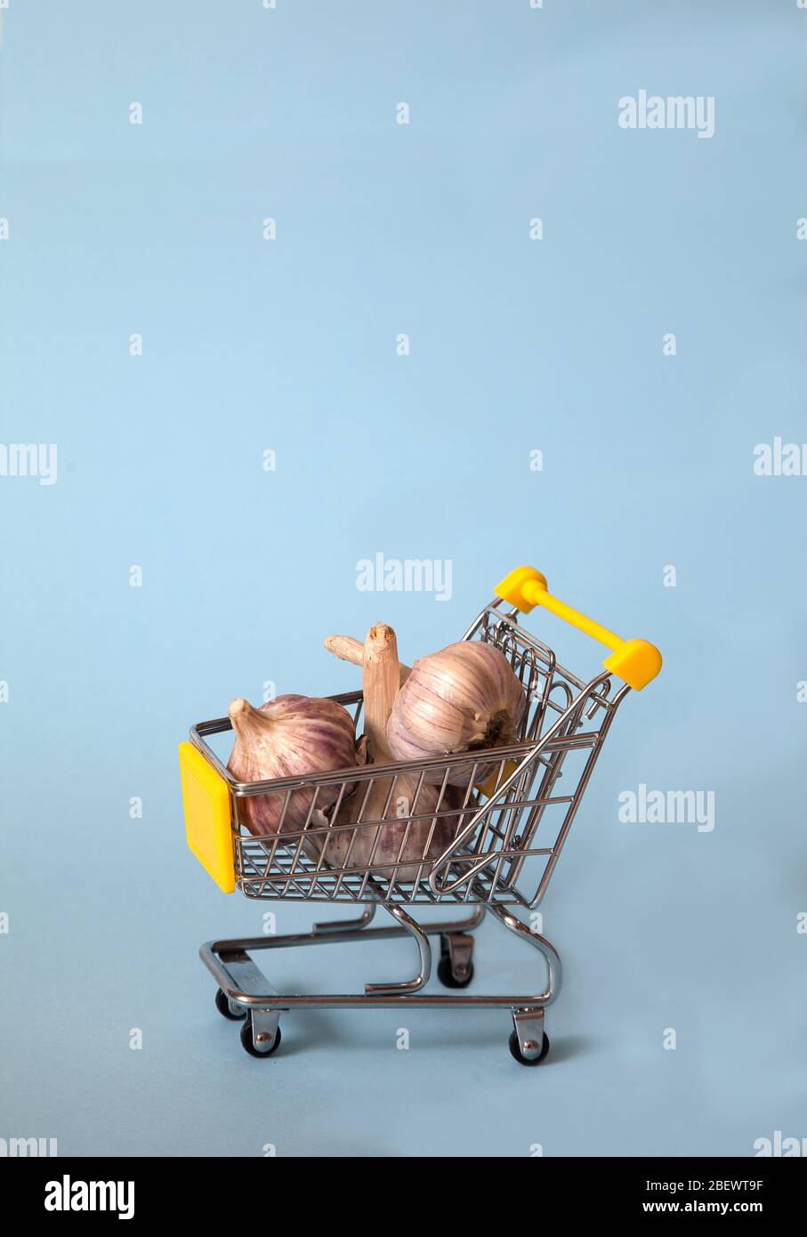 Tres cabezas de ajo yacen en un carro de supermercado sobre un fondo azul. Útil. Salud. Copiar spaes. Especias Foto de stock