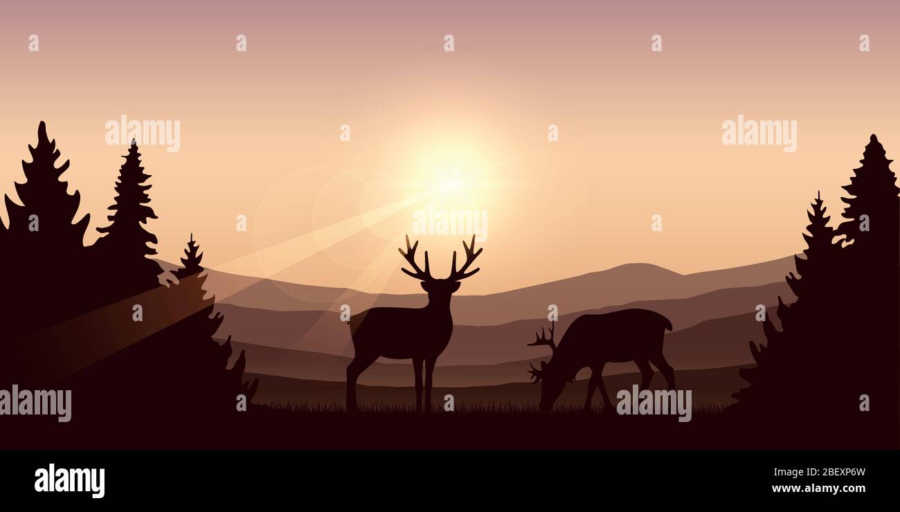 Fauna y flora ciervos en otoño montaña y bosque paisaje ilustración vector EPS10 Ilustración del Vector