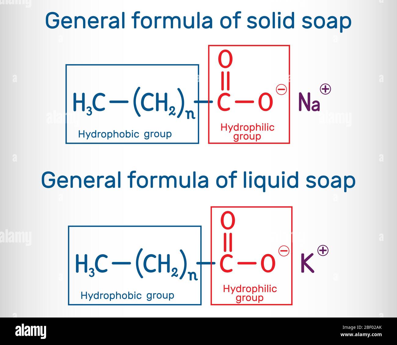 Fórmula general de molécula de jabón sólida y líquida. RCOONA, RCOOK.  Fórmula química estructural. Ilustración vectorial Imagen Vector de stock -  Alamy