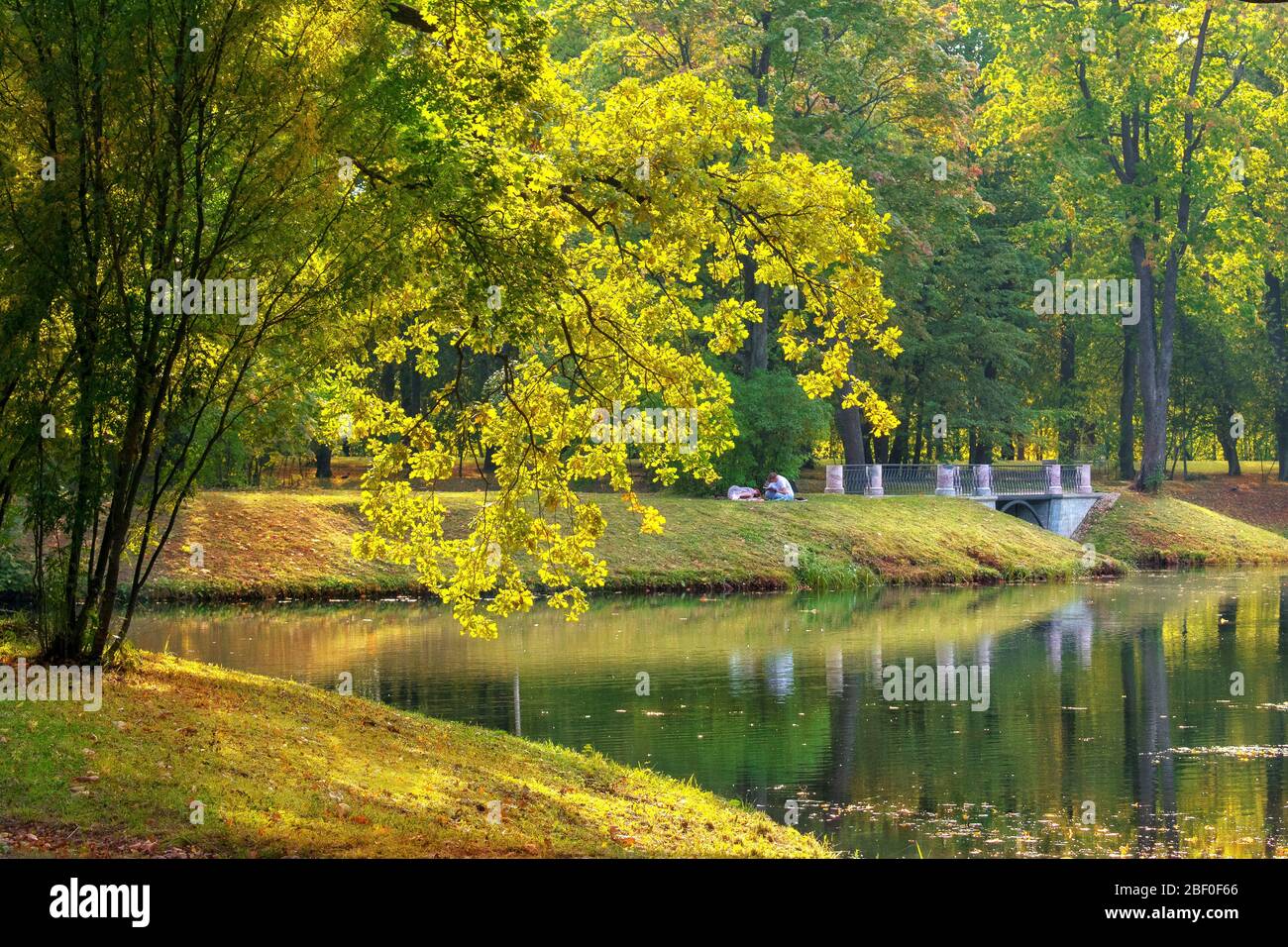 San Petersburgo, Rusia, otoño de 2019: Tsarskoye Selo, Alexander Park, el puente cerca del estanque Foto de stock