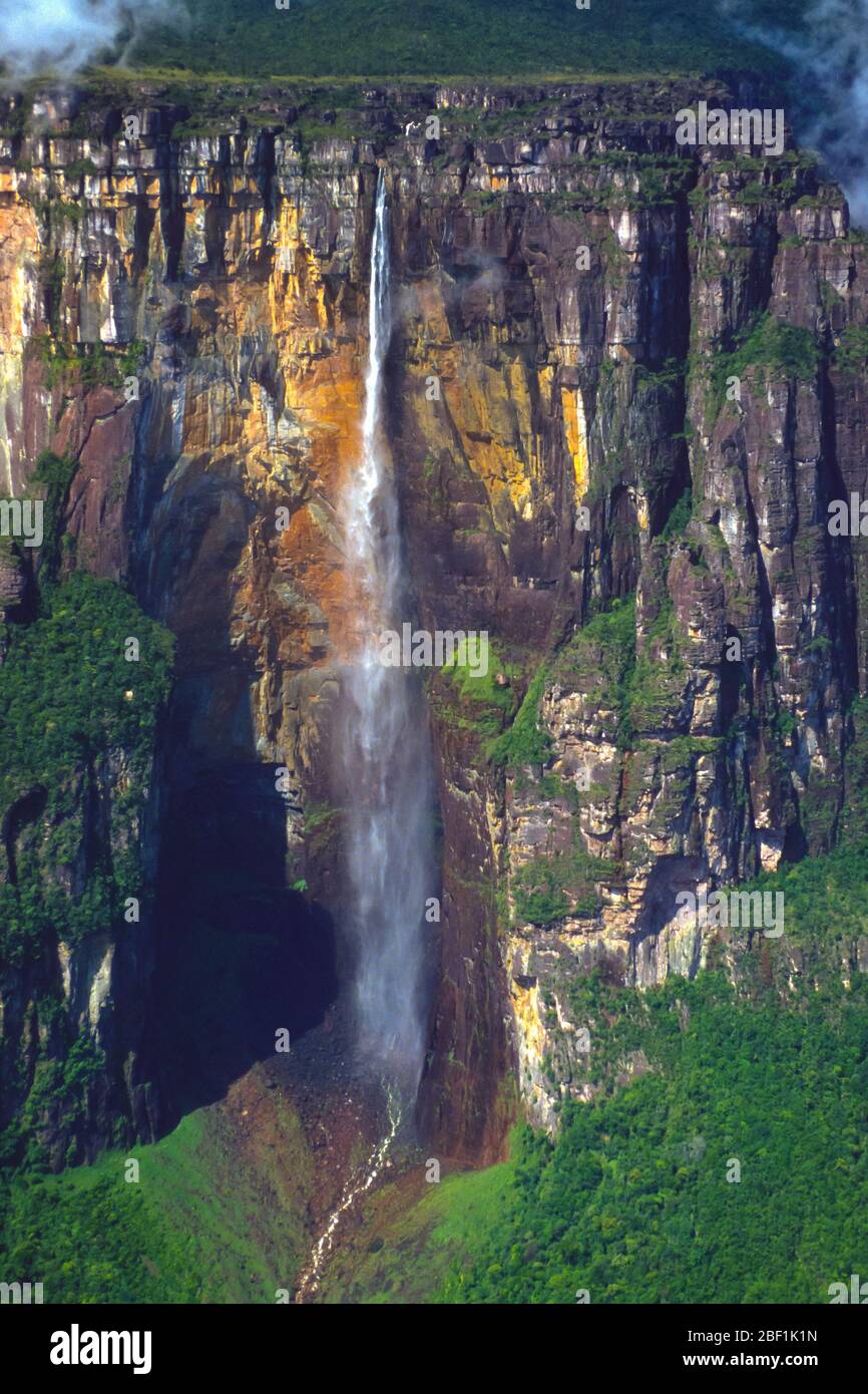 PARQUE NACIONAL CANAIMA, VENEZUELA - Salto Angel, la cascada más alta del  mundo a 979 metros (3,212 pies), en la región de Gran Sabana Fotografía de  stock - Alamy