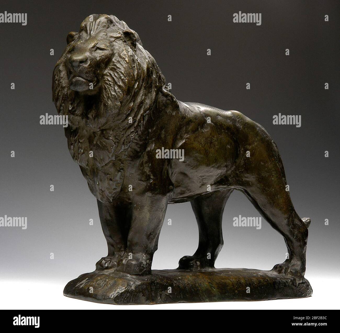 Varios leones fotografías e imágenes de alta resolución - Alamy