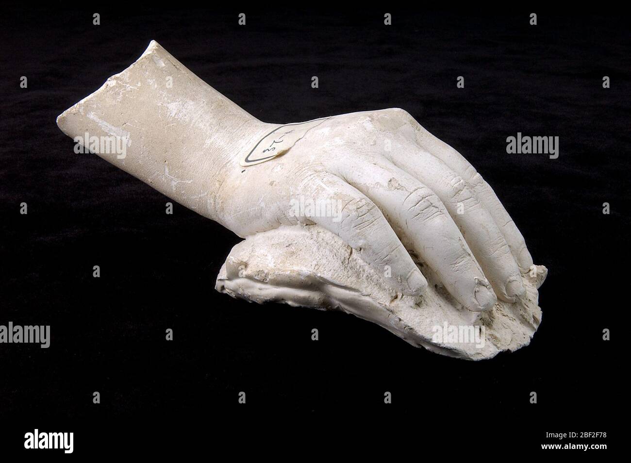 Yeso de una mano derecha no identificada en una posición relajada. Hay muchos fragmentos de yeso de detalles anatómicos en la colección Hiram Powers que no pueden ser identificados. Foto de stock