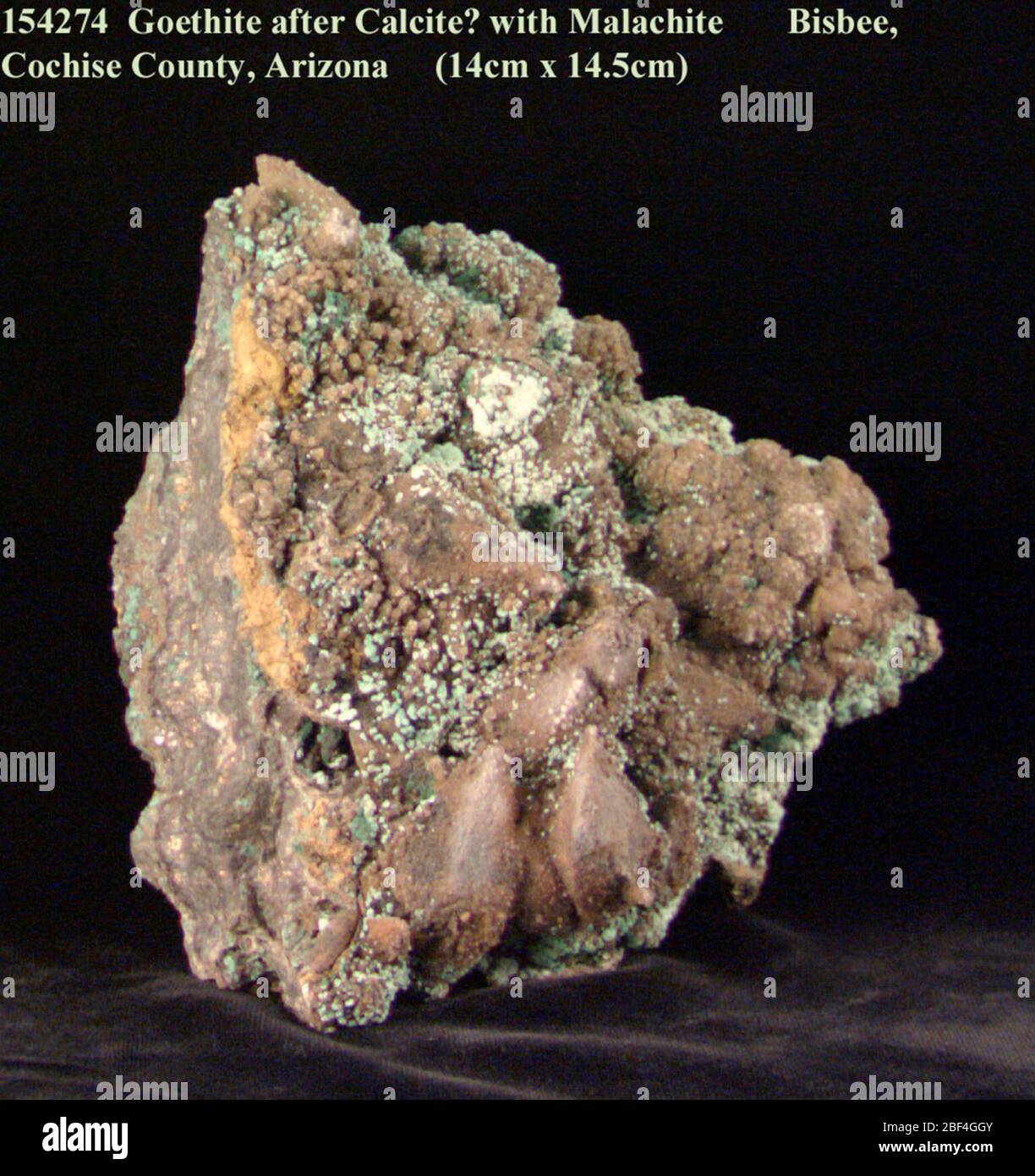 Goethita con malaquita y cuarzo (NMNH 154274-00) de la Colección Nacional de Minerales. Foto de stock