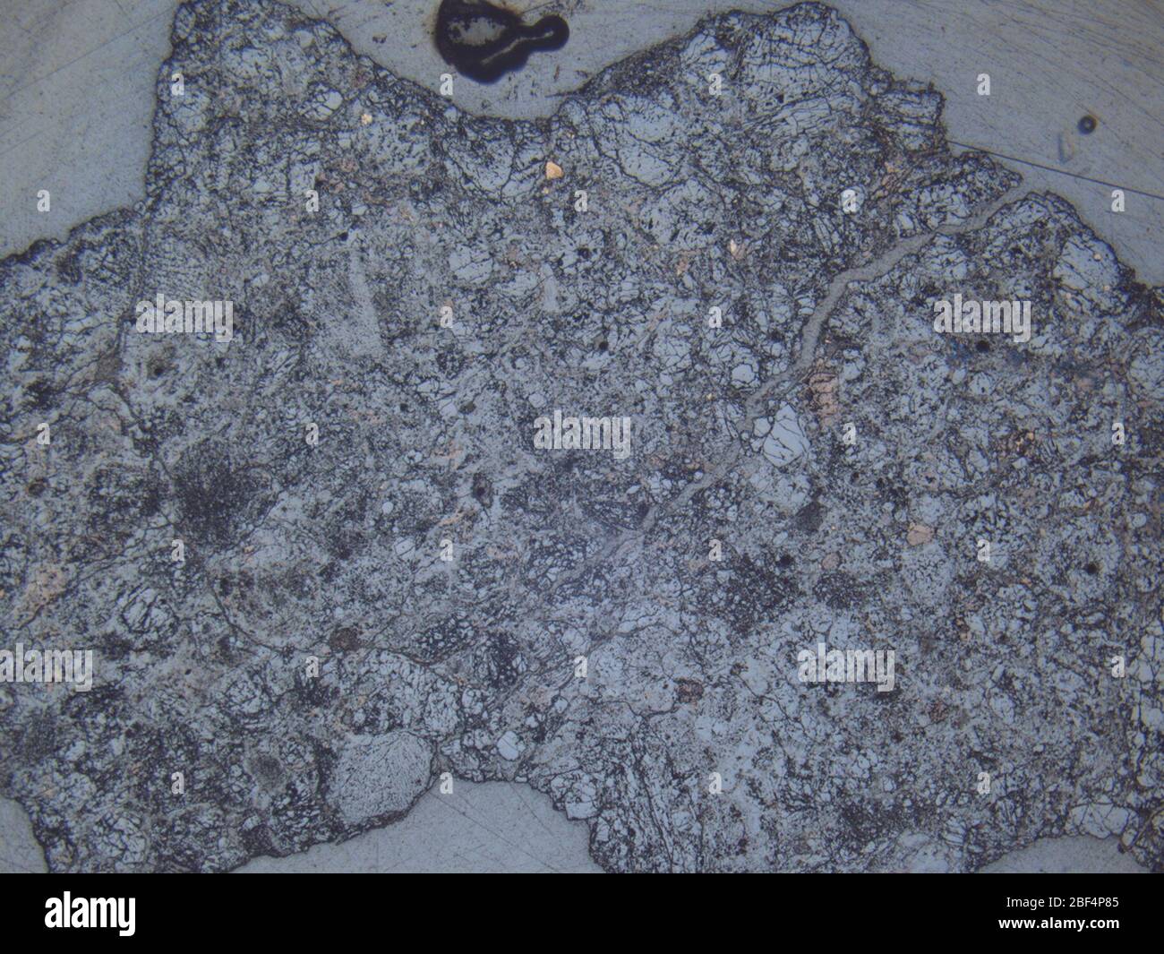 Micrografo de meteorito LEW 86018,6 bajo luz reflejada a una ampliación de 1,25x. Foto de stock